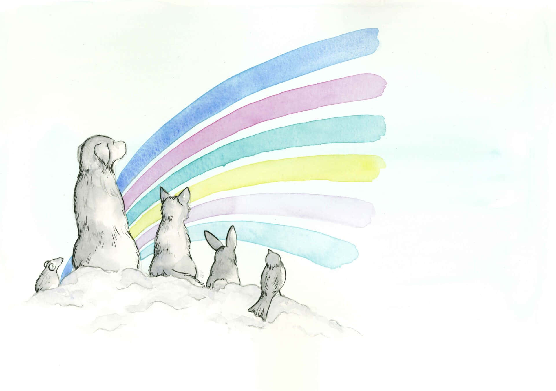 天堂 桌布 壁紙 — 四隻動物坐在雪堆上，凝視著一道充滿活力的水彩彩虹在它們上方拱起。