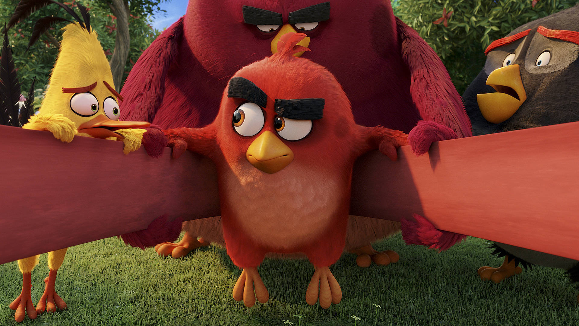 Angry Birds HD 桌布 壁紙 — 四隻動畫憤怒小鳥帶著兇猛表情站在草地上，抓著一塊紅色木板。