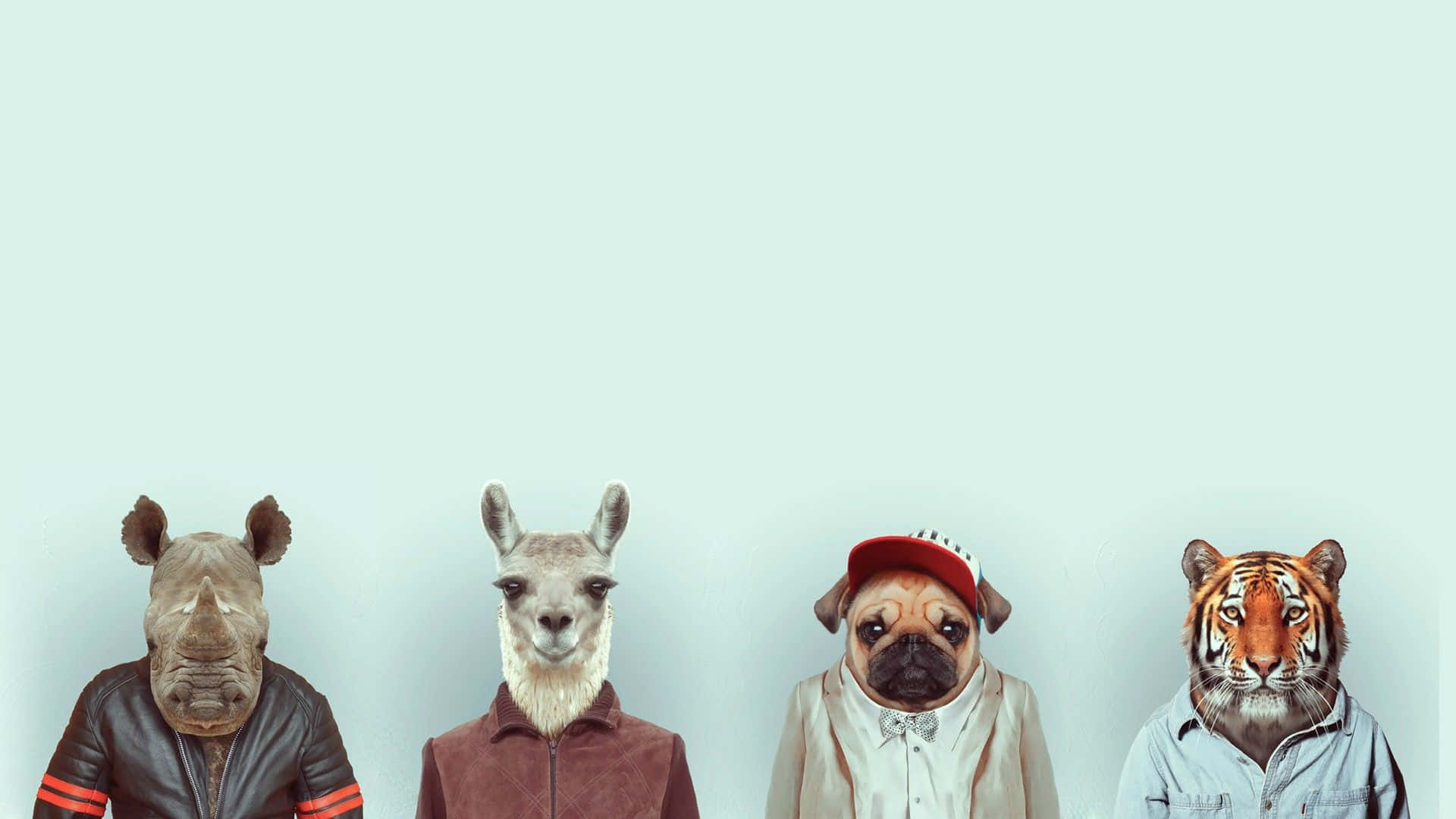 Minimalist Animal 桌布 壁紙 — 四隻擬人化動物穿著人類衣服，在淡藍色背景前擺姿勢。