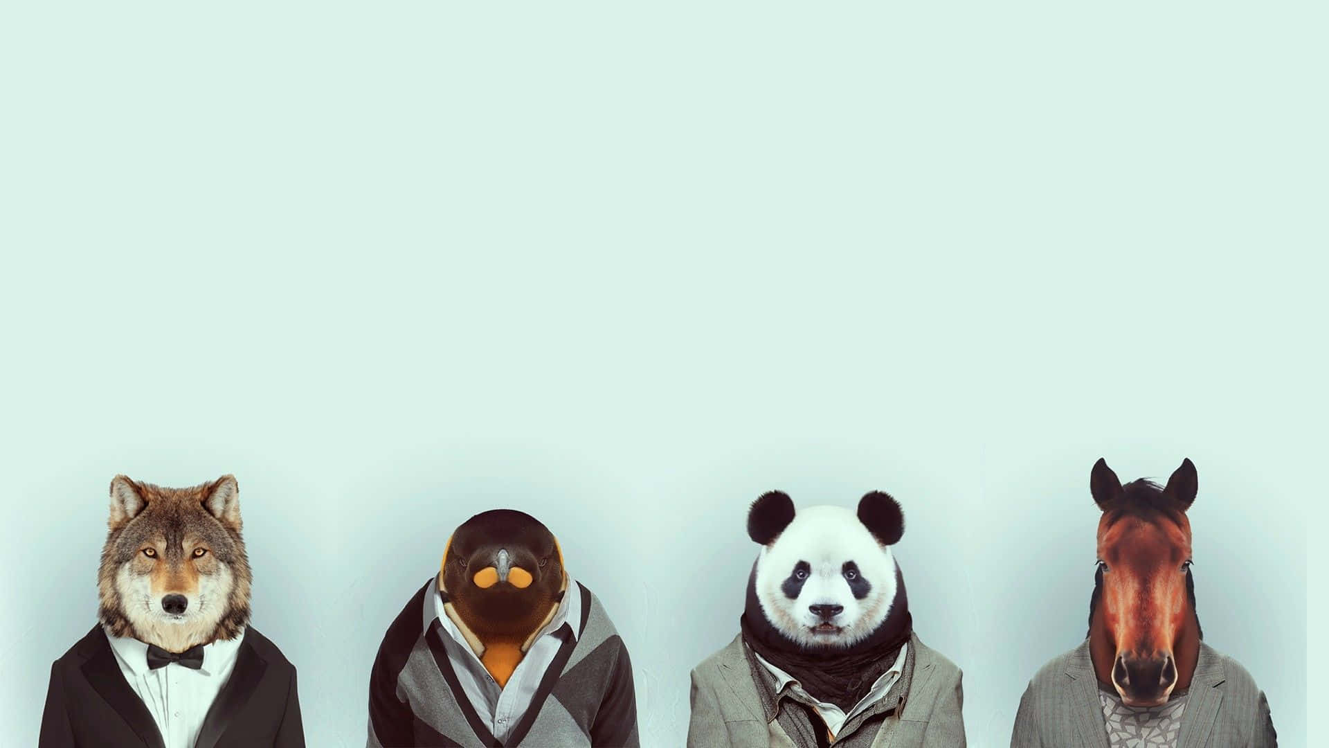 動物 桌布 壁紙 — 四隻擬人化動物穿著西裝，站在淡藍色背景前，表情嚴肅。