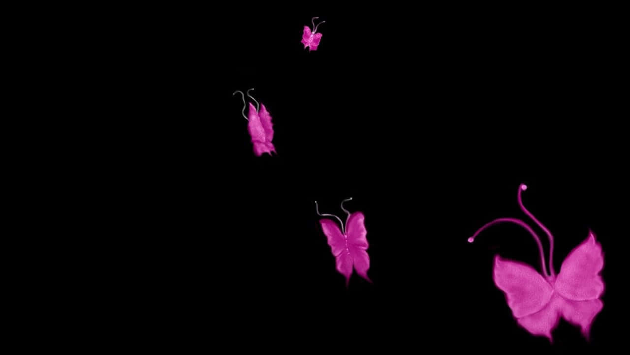 Butterflies 桌布 壁紙 — 四隻發光的洋紅色蝴蝶在深邃的黑色虛空中優雅地飄浮。