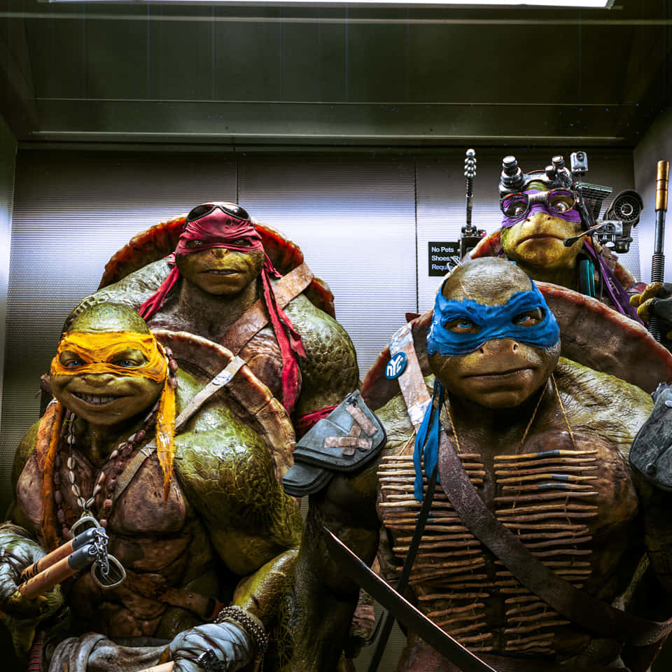 Ninja Turtle 桌布 壁紙 — 四隻穿著戲服的忍者龜（Teenage Mutant Ninja Turtles）擠在金屬電梯內，帶著武器和裝備。