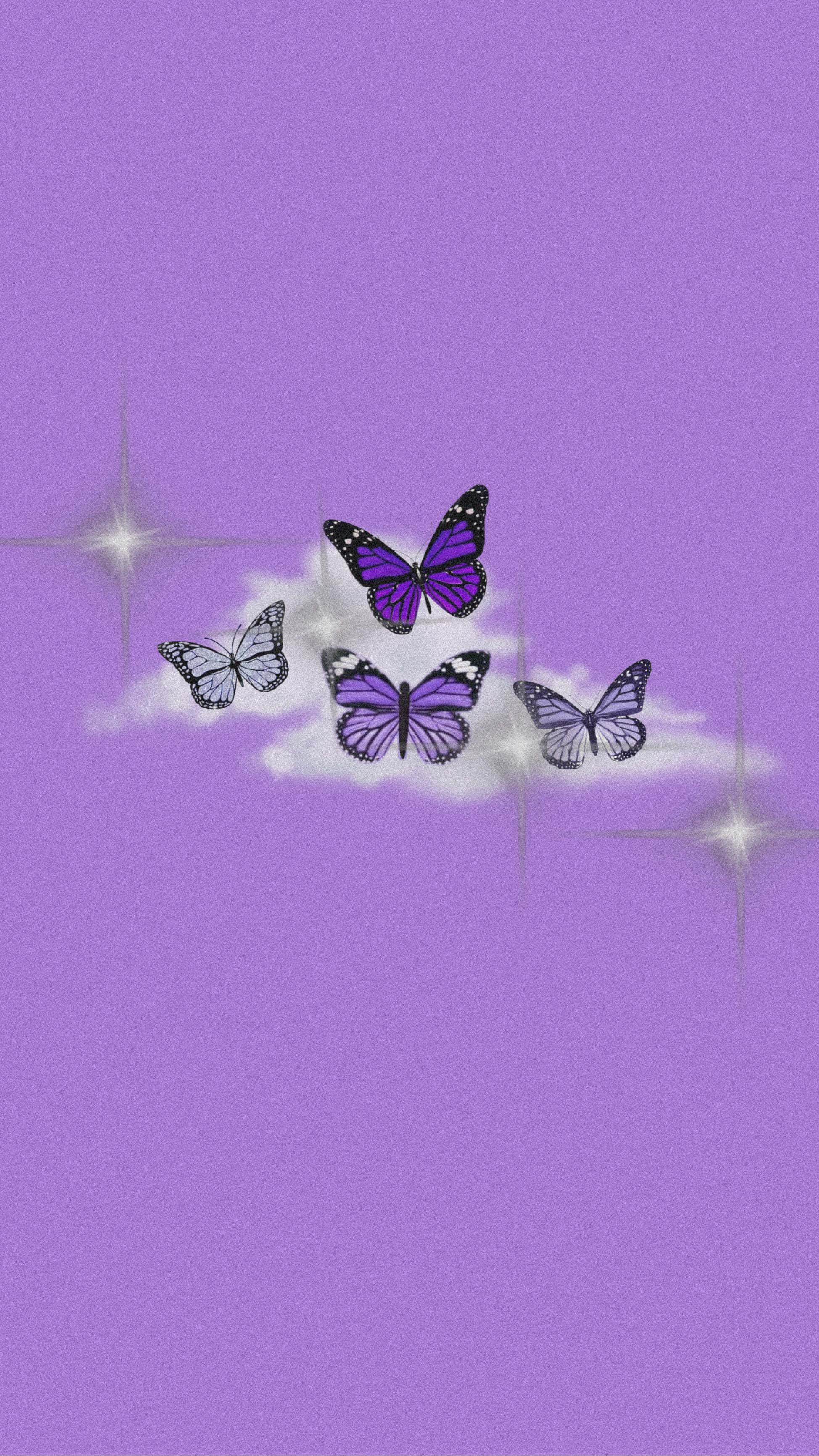 Purple Butterfly iPhone 桌布 壁紙 — 四隻紫色和白色的蝴蝶在一個蓬鬆的雲朵周圍翩翩起舞，背景是純色的薰衣草色，點綴著閃爍的星星。
