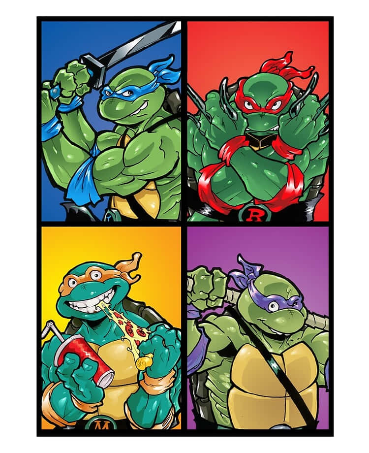 Cartoon Turtle 桌布 壁紙 — 四隻綠色忍者龜各自在自己的彩色面板中，拿著武器或披薩，表情自信。
