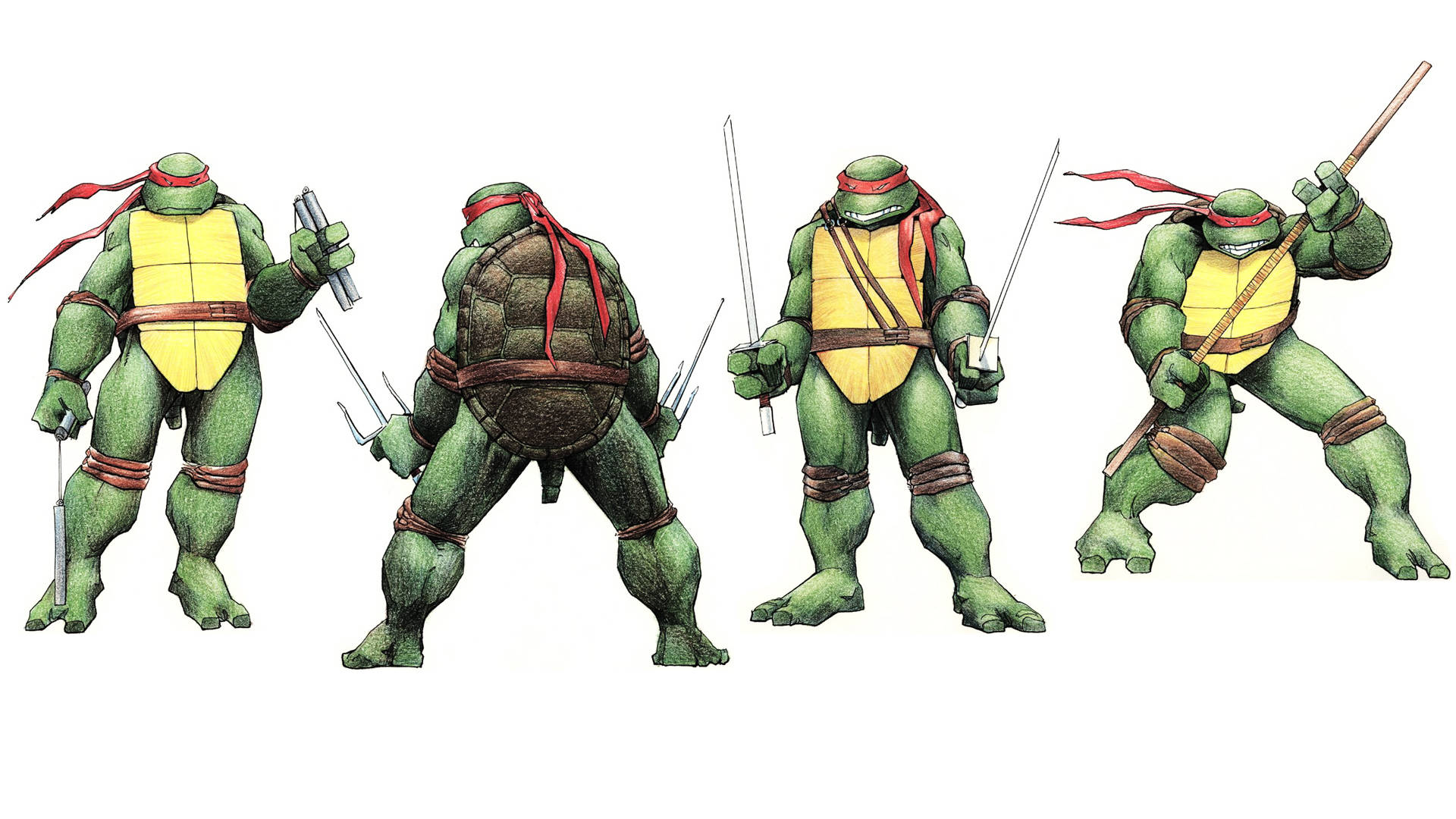 Ninja Turtle 桌布 壁紙 — 四隻綠色忍者龜在白色背景上擺出動態戰鬥姿勢，手持武器。