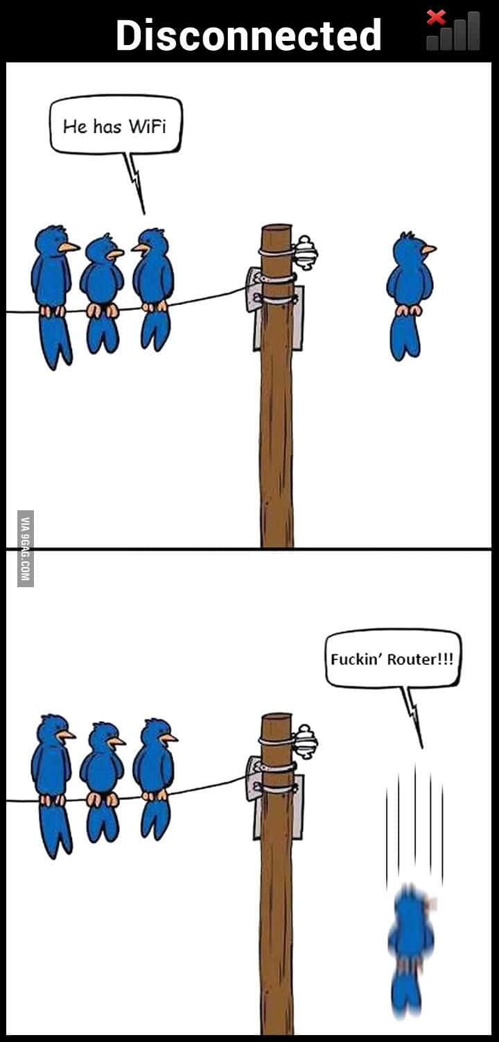 Technology Humor Memes 桌布 壁紙 — 四隻藍色卡通鳥在電線上嘲笑一隻孤獨的鳥有WiFi，直到牠被稱為路由器後憤怒地飛走。