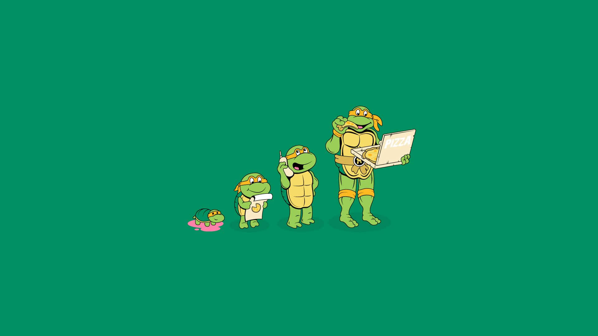 Ninja Turtle 桌布 壁紙 — 四隻逐漸變大的忍者龜排成一排，在純綠色背景前拿著筆記型電腦。