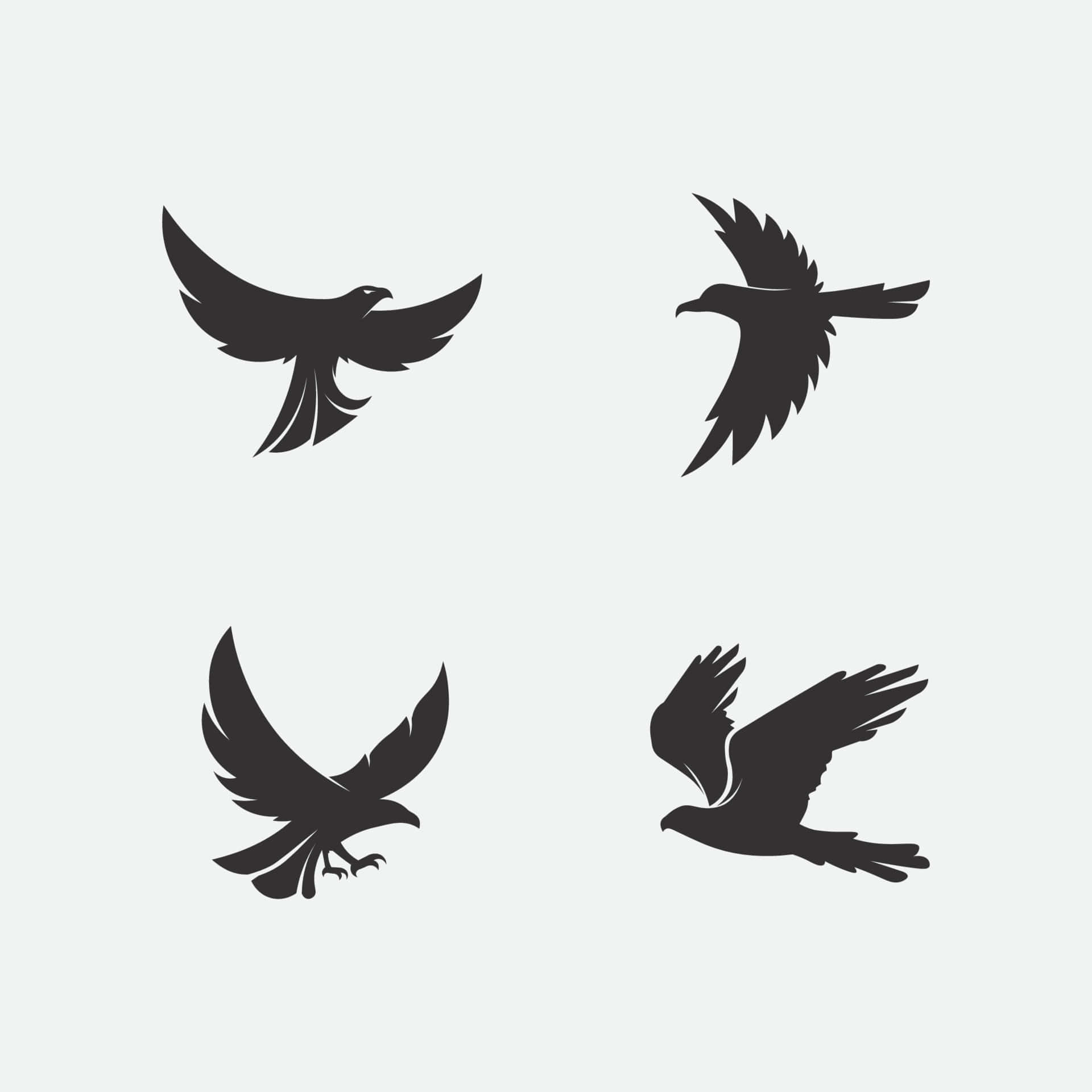 Dove Wings 桌布 壁紙 — 四隻黑色老鷹剪影在淺灰色背景上飛翔，每隻都呈現不同的動態姿勢。