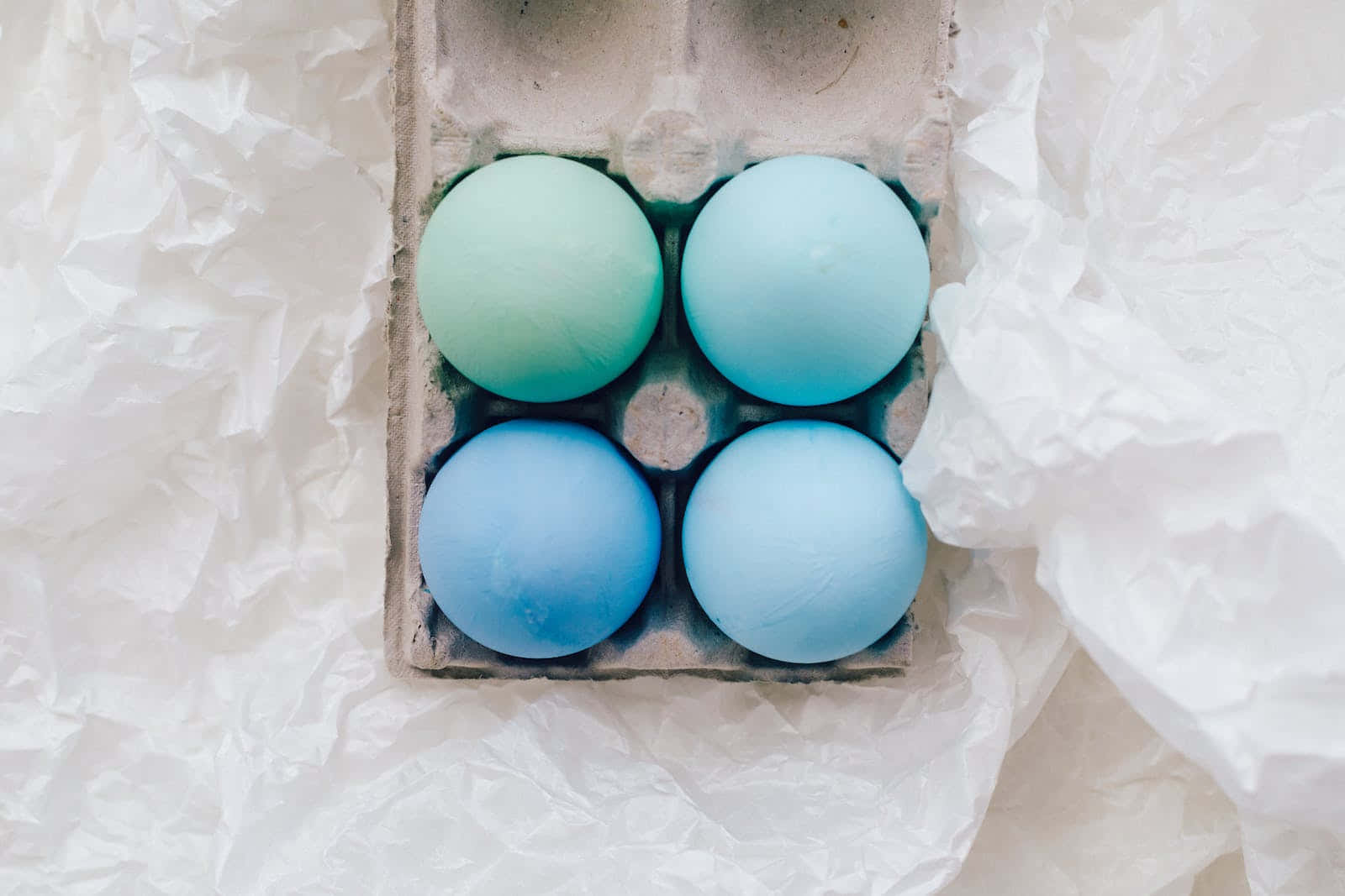 Pastel Easter 桌布 壁紙 — 四顆粉藍色雞蛋放在紙板托盤上，置於皺巴巴的白紙上，光線柔和自然。