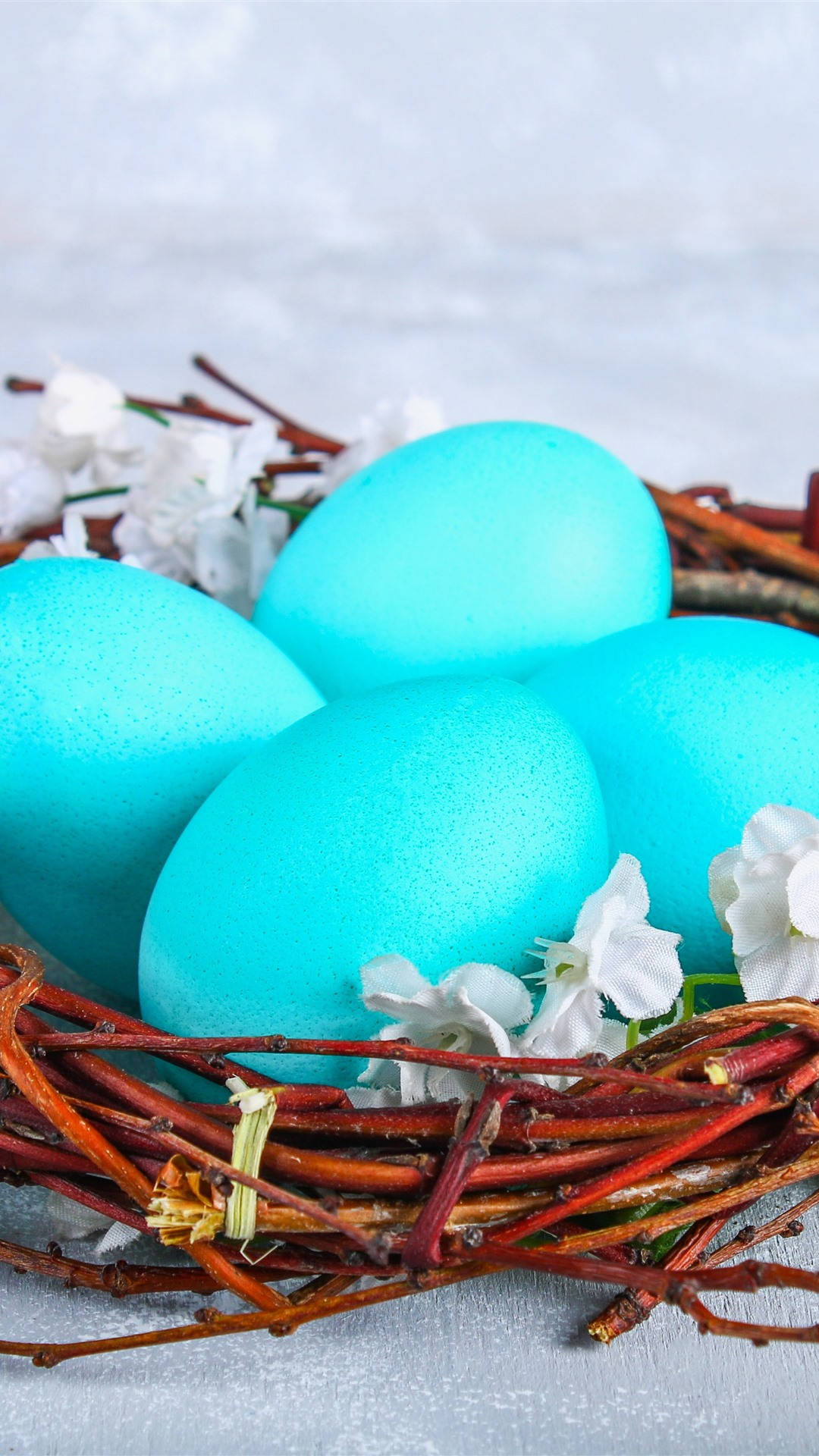 Easter iPhone 桌布 壁紙 — 四顆鮮豔的藍綠色雞蛋安放在一個質樸的樹枝巢中，巢上點綴著精緻的白色花朵。