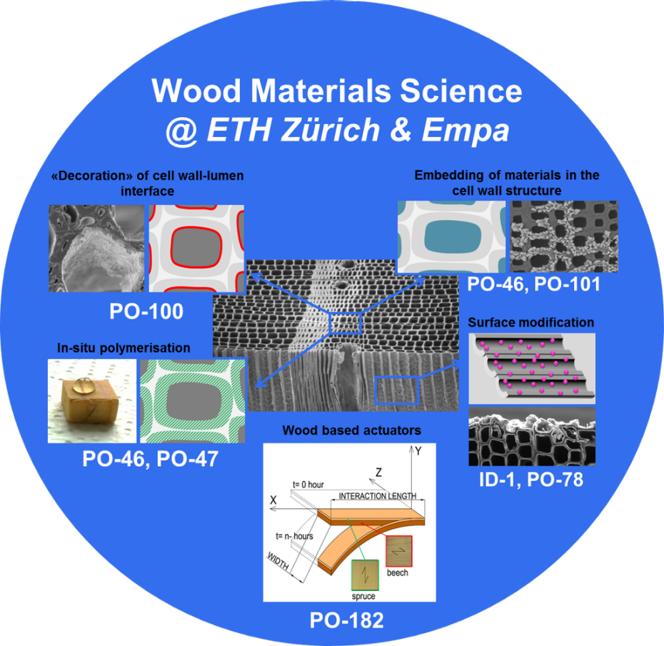 Material 桌布 壁紙 — 圓形資訊圖表，展示蘇黎世聯邦理工學院和瑞士聯邦材料科學與技術實驗室的木材材料科學研究，附有標籤的顯微圖像和技術圖表。