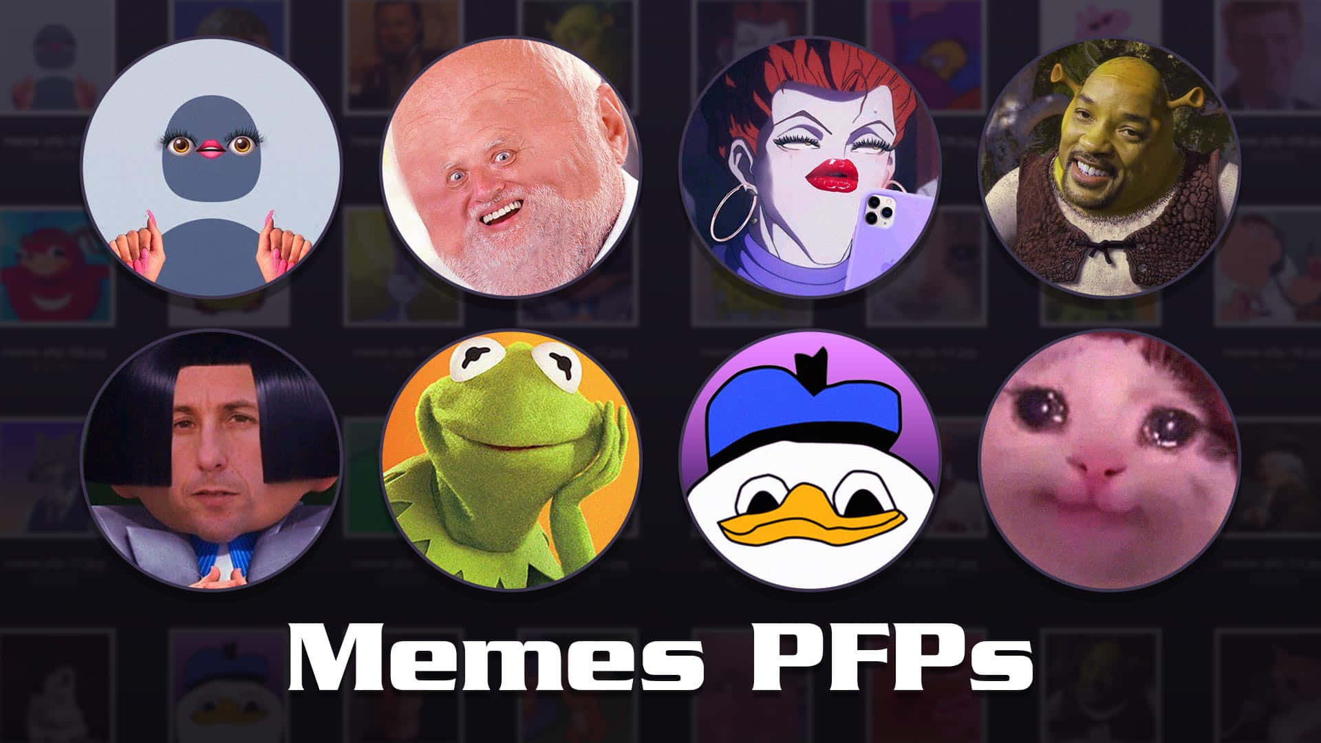 Funny Meme Profile 桌布 壁紙 — 圓形迷因頭像，包含青蛙柯米特和史力加等角色，背景為深色網格，並帶有粗體白色文字。