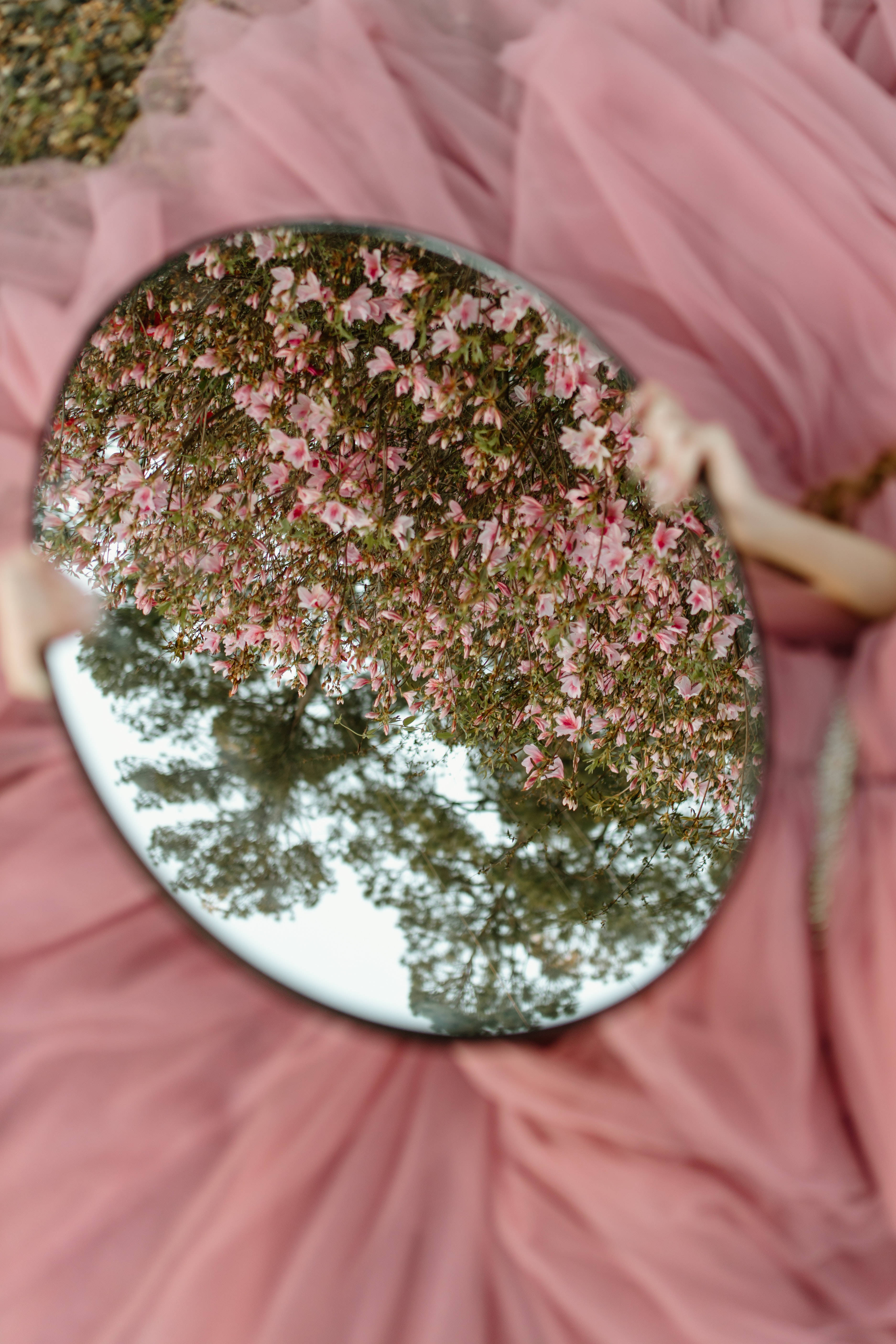 Plant Aesthetic 桌布 壁紙 — 圓形鏡子映照出盛開的粉紅櫻花和綠色樹枝，背景是柔軟的粉紅薄紗布料。