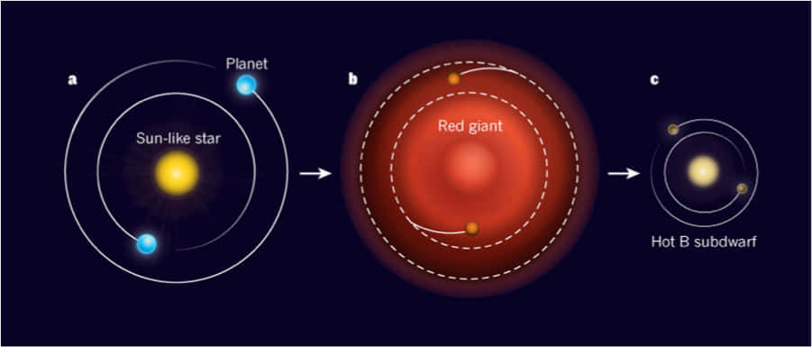 Red Giant 桌布 壁紙 — 圖表顯示一顆恆星從類似太陽的恆星演化成紅巨星，然後演化成帶有軌道行星的熾熱B型亞矮星。