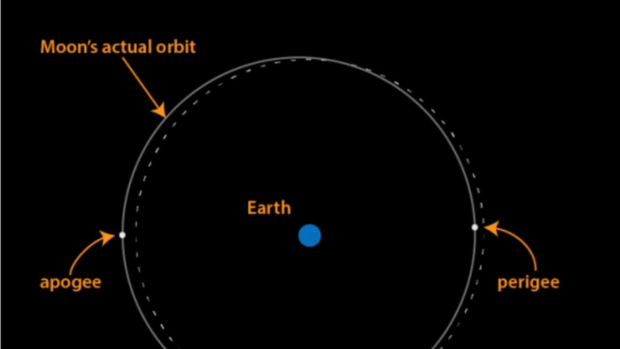 Perigee 桌布 壁紙 — 圖表顯示地球在中心，月球橢圓軌道標有遠地點和近地點。