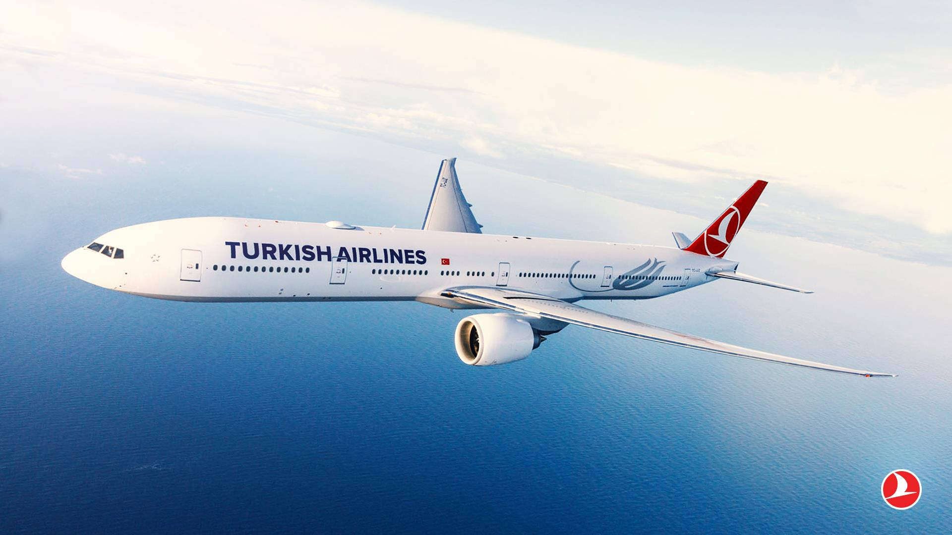 海洋 桌布 壁紙 — 土耳其航空飛機在柔和天空下優雅地翱翔於廣闊藍色海洋之上。