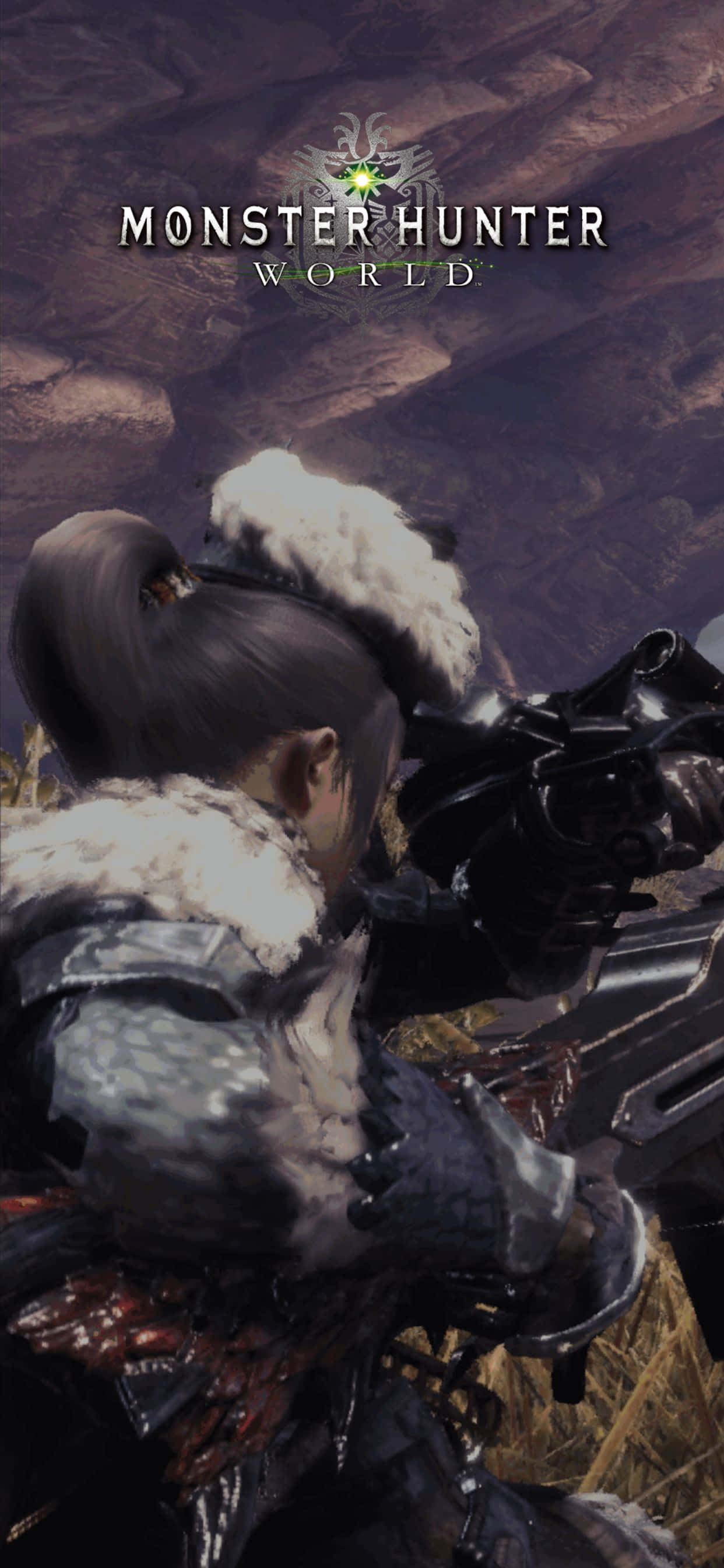 魔物獵人 世界 桌布 壁紙 — 在《Monster Hunter World》中，一名身穿毛皮襯裡盔甲的獵人從岩石突出處瞄準重型武器。