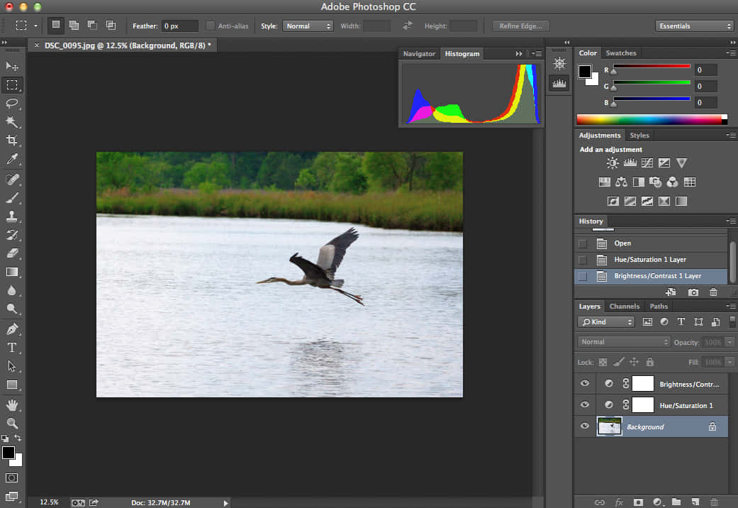Adobe 桌布 壁紙 — 在 Photoshop 編輯介面中，一隻蒼鷺優雅地滑翔在平靜的水面上，背景是茂密的綠色植物。