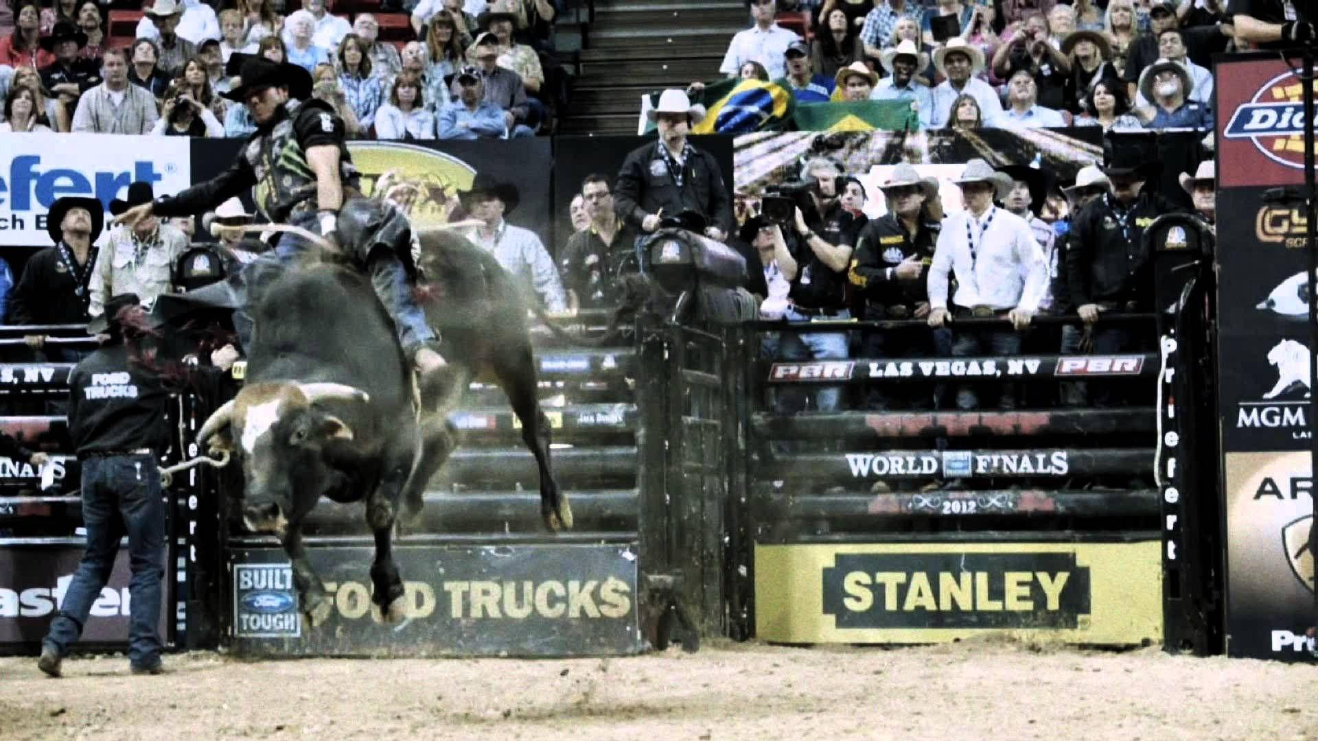 Bull Riding 桌布 壁紙 — 在2012年PBR世界總決賽中，一名鬥牛騎士緊抓著一頭狂跳的公牛，而牛仔小丑和觀眾則在看台上觀看。