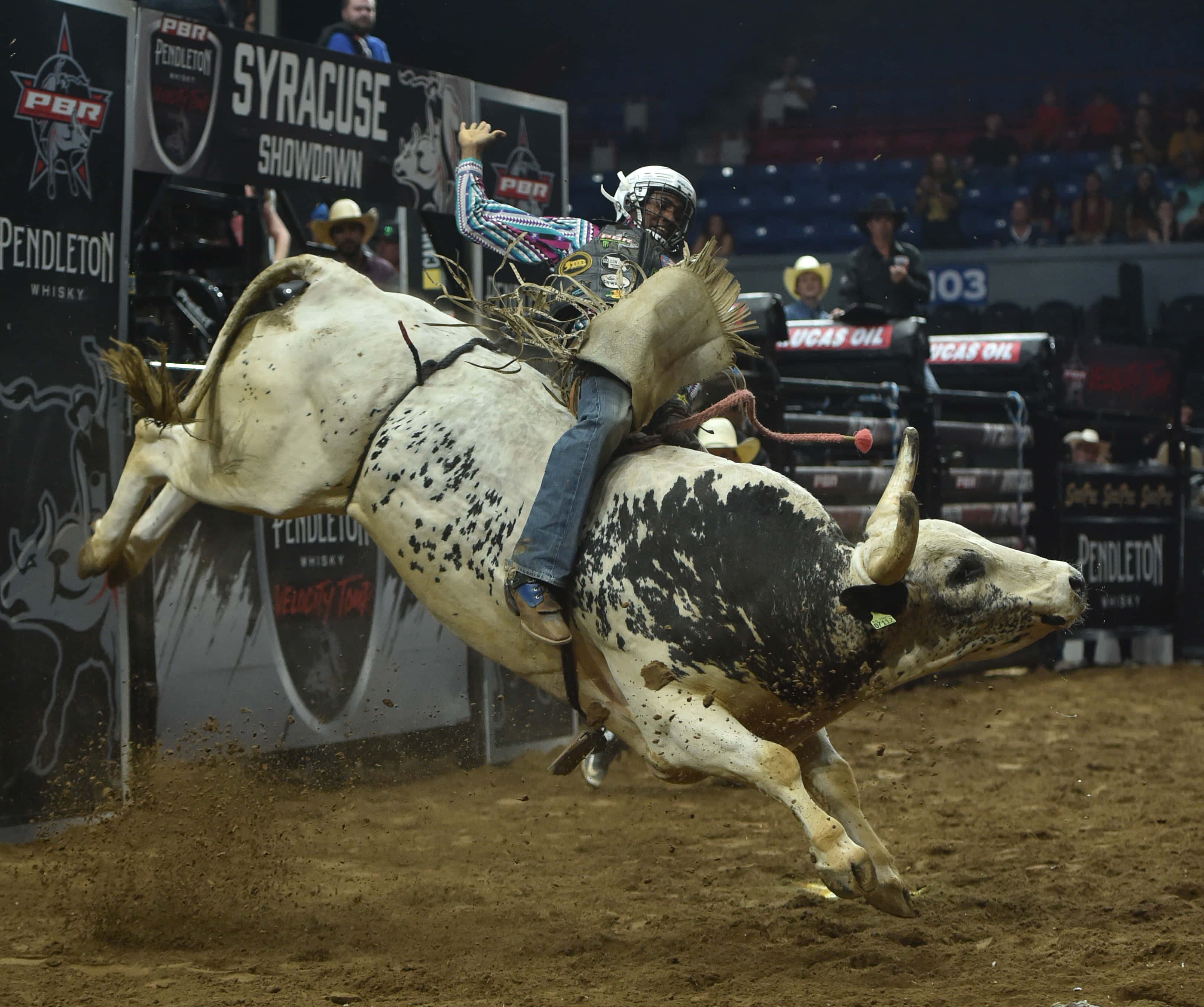 Bull Riding 桌布 壁紙 — 在PBR賽事中，一名騎牛士緊抓著一頭黑白相間、正在尥蹶子的公牛，室內競技場內塵土飛揚。