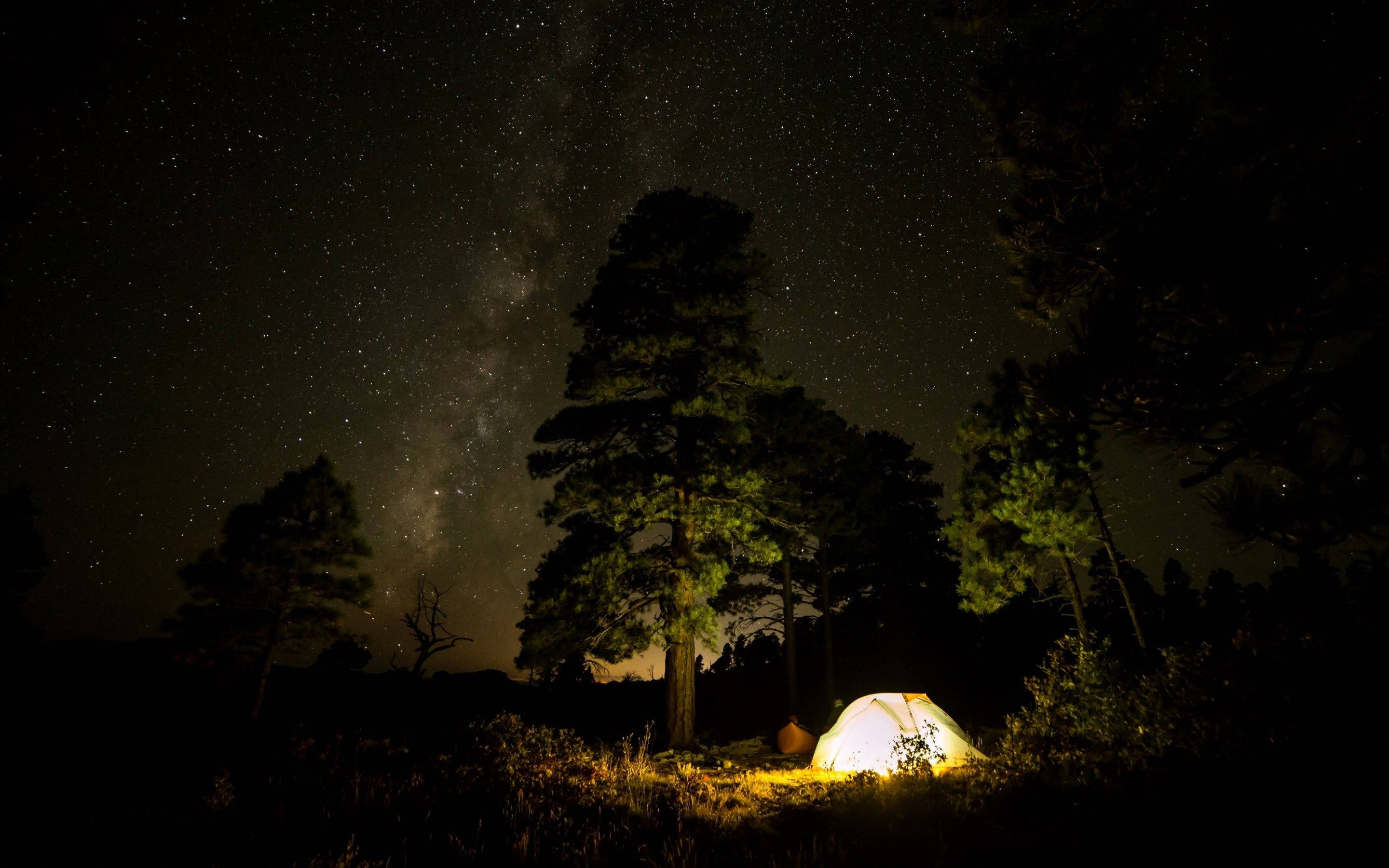 山景 桌布 壁紙 — 在令人驚嘆的星空下，松樹間閃耀的帳篷，銀河在頭頂彎曲。