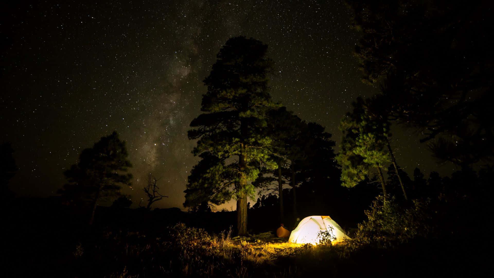 Camping 桌布 壁紙 — 在令人驚嘆的星空下，松樹間閃耀的帳篷，銀河在頭頂彎曲。