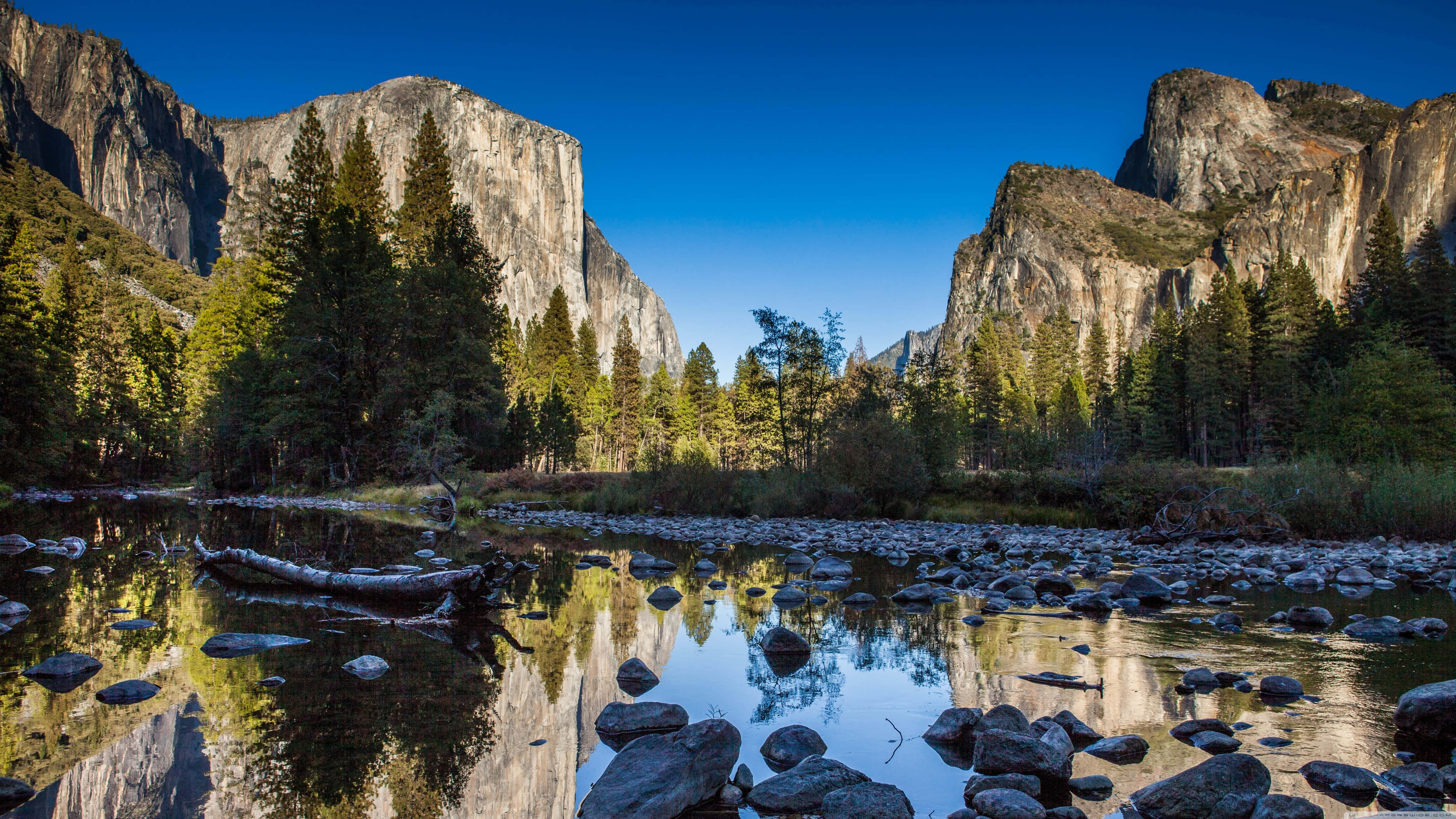 California Mountain 桌布 壁紙 — 在優勝美地山谷清澈的藍天下，一條寧靜的河流映照著高聳的花崗岩懸崖和松樹。