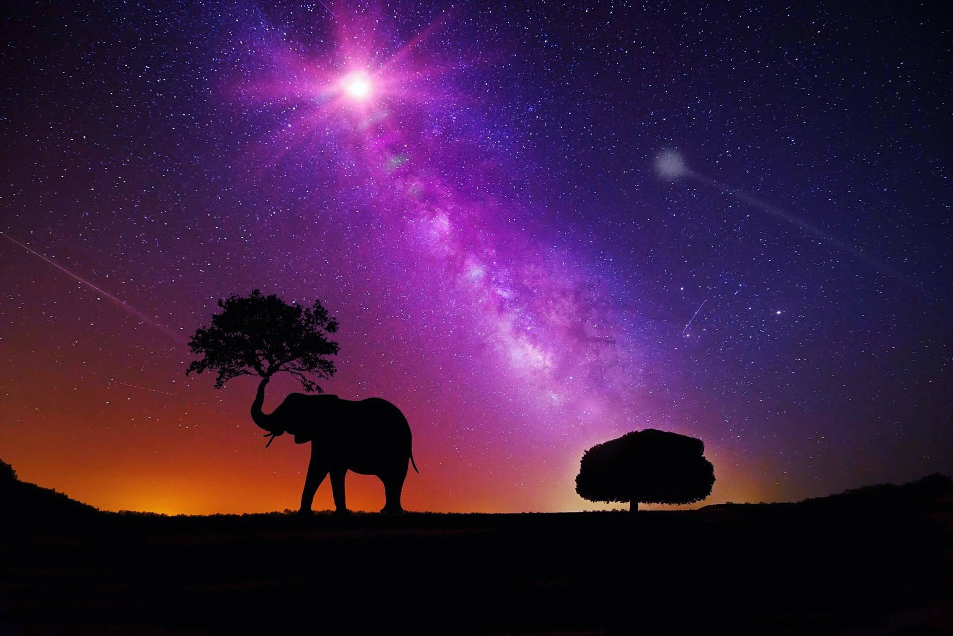 紫色星空下的大象和樹木剪影，伴有流星。