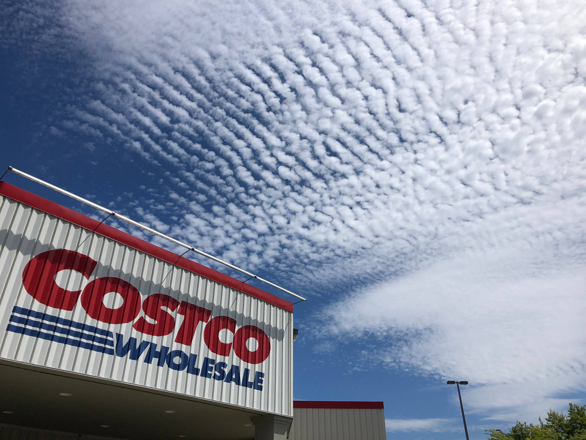 Costco 桌布 壁紙 — 在充滿複雜白色高積雲的鮮豔藍天下，Costco Wholesale 商店的標誌。