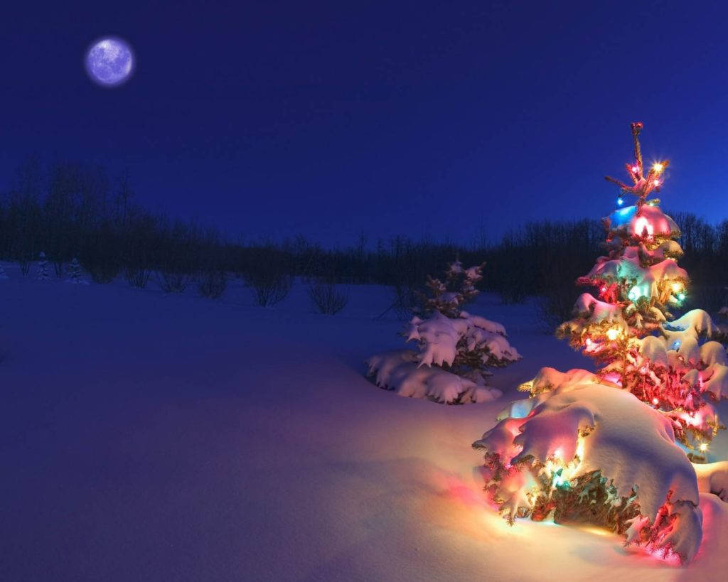 Scenes 桌布 壁紙 — 在冬夜景色中，一棵被雪覆蓋的聖誕樹在滿月下閃爍著五彩燈光。