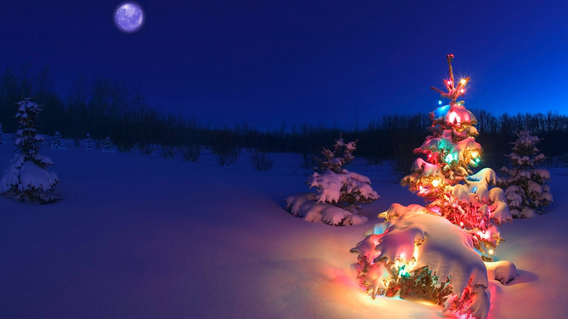 聖誕快樂 桌布 壁紙 — 在冬夜景色中，滿月下雪覆蓋的聖誕樹閃爍著彩色燈光。