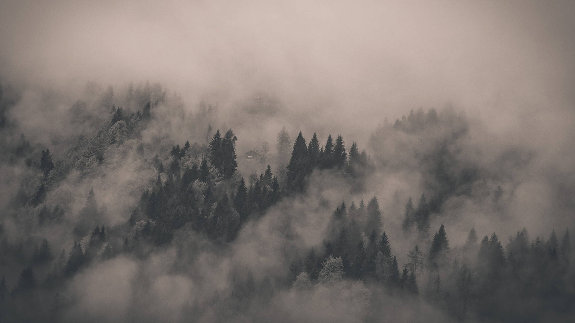 Foggy 桌布 壁紙 — 在單色山景中，迷霧森林山峰從旋轉的霧氣中浮現。