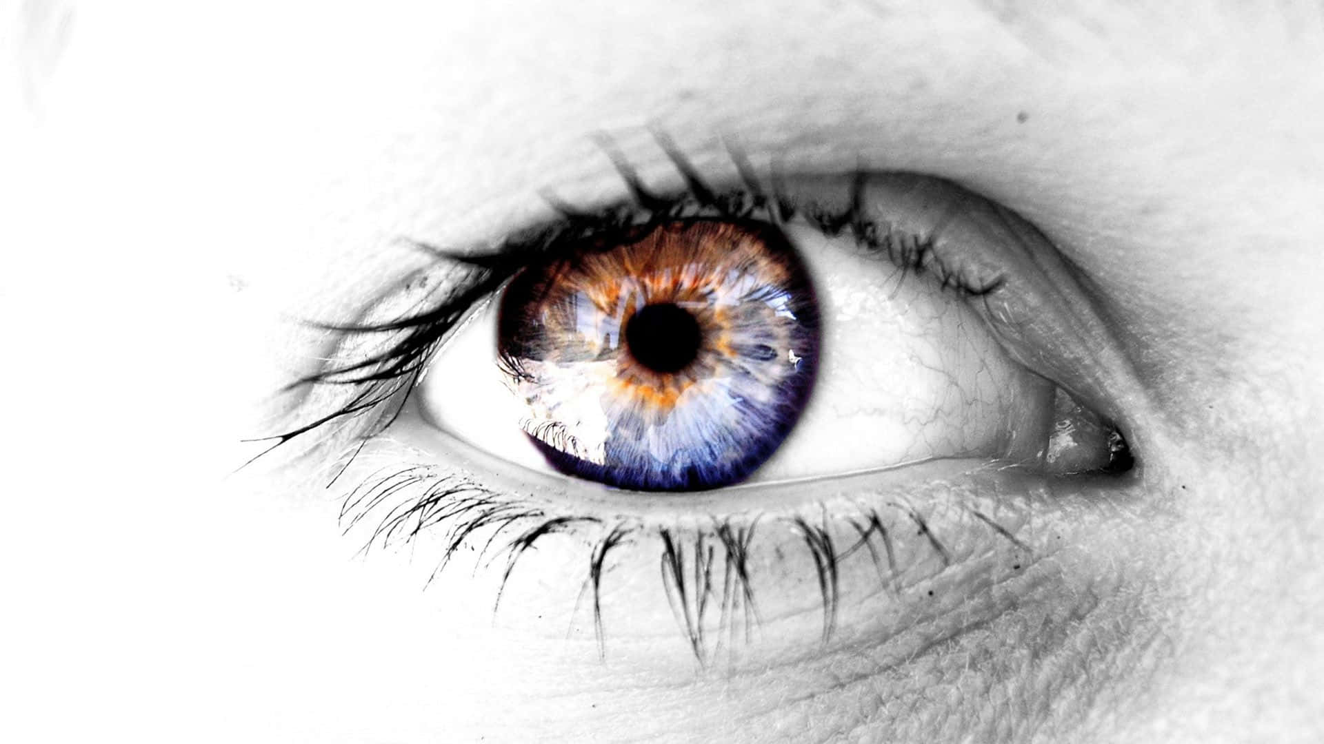 Eyes 桌布 壁紙 — 在單色皮膚背景上，一隻帶有鮮豔藍色和琥珀色虹膜的人類眼睛的超現實特寫。