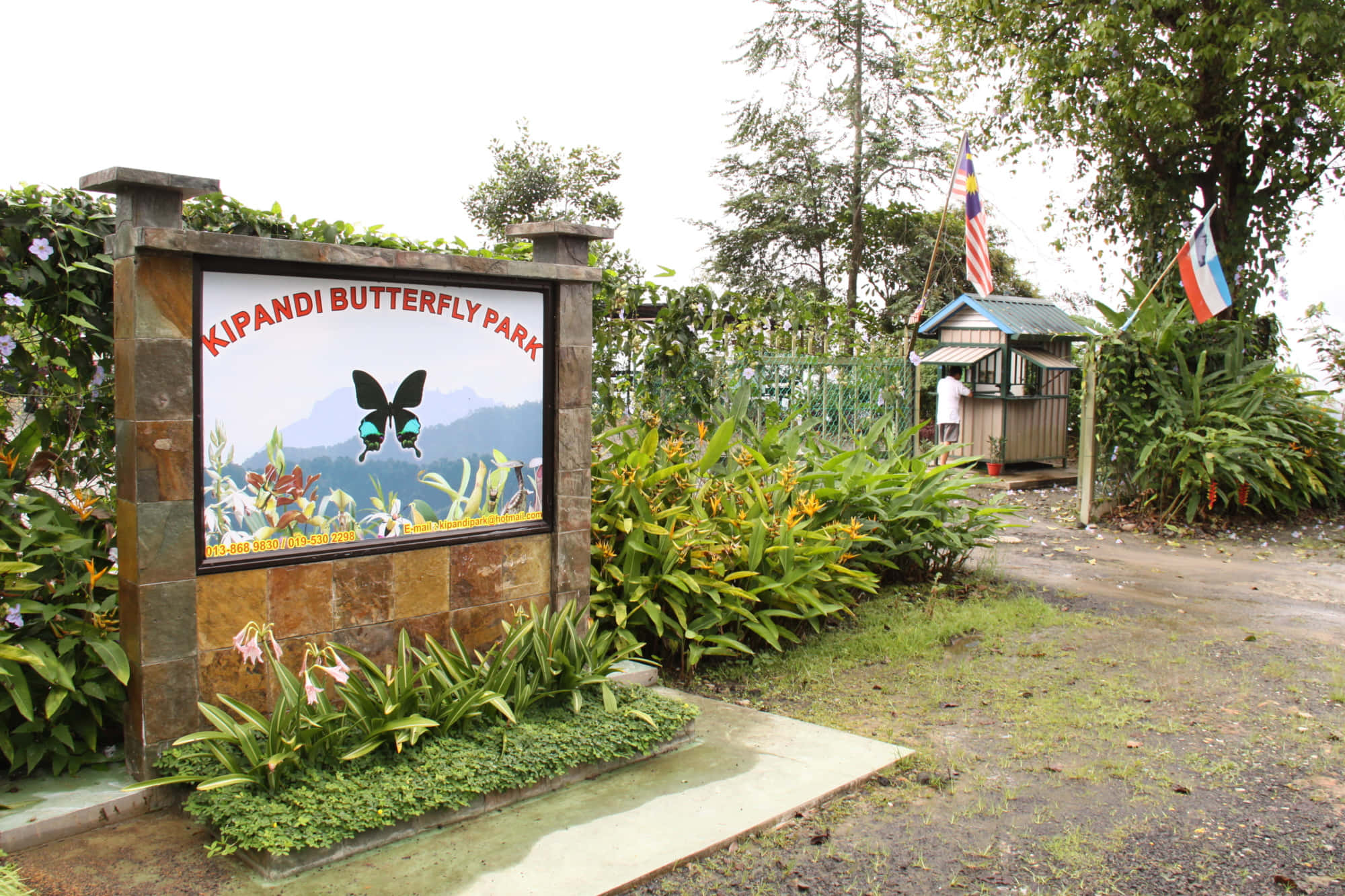 Butterfly Park 桌布 壁紙 — 在多雲的天空下，被茂密的綠色植物和熱帶植物包圍的Kipandi蝴蝶公園入口標誌。