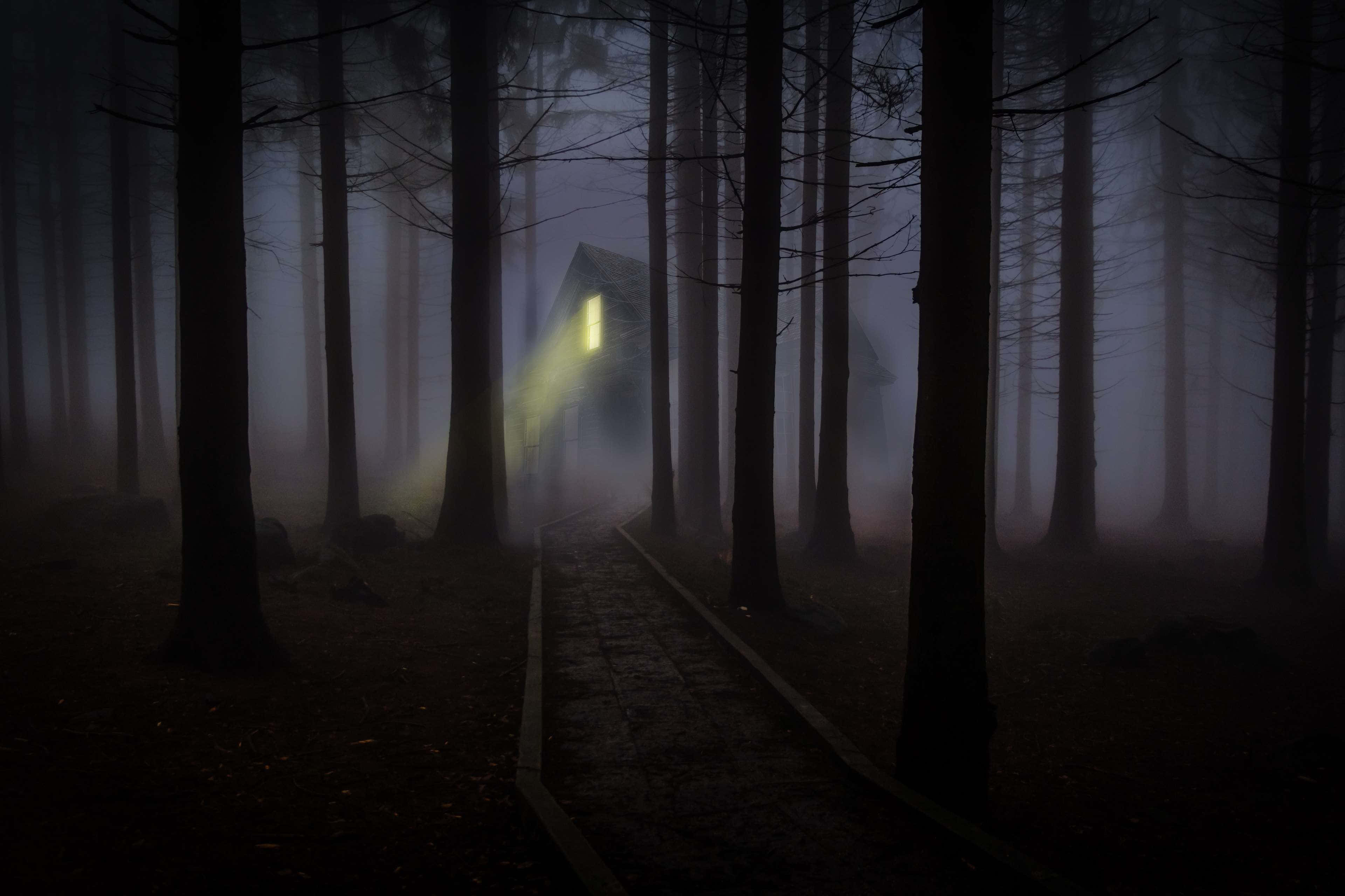 Haunted Forests 桌布 壁紙 — 在夜晚黑暗的森林小徑上，一間孤獨的小屋透過霧氣繚繞的樹木散發出溫暖的光芒。