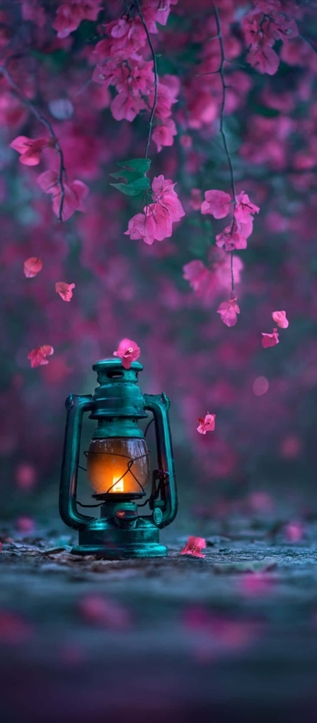 1080x2640 桌布 壁紙 — 在夢幻的暮色花園中，一個發光的青綠色燈籠懸掛在飄落的粉紅花瓣下。