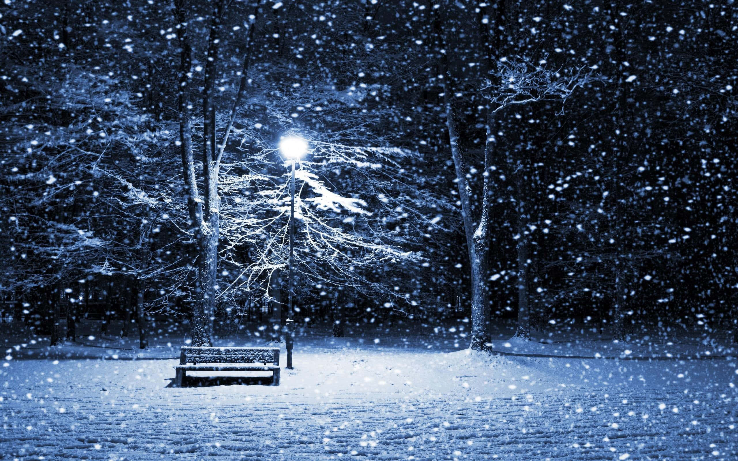 Snowfall 桌布 壁紙 — 在寂靜的冬夜公園裡，一張孤獨的積雪長椅在街燈下閃耀，大雪紛飛。