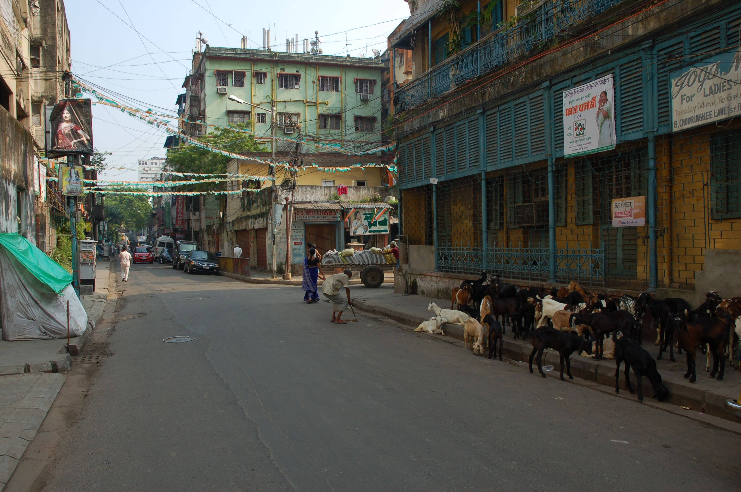 Kolkata 桌布 壁紙 — 在密集城市中一條繁華的都市街道，山羊在人行道上吃草，旁邊是色彩繽紛的建築物和懸掛的節日橫幅。