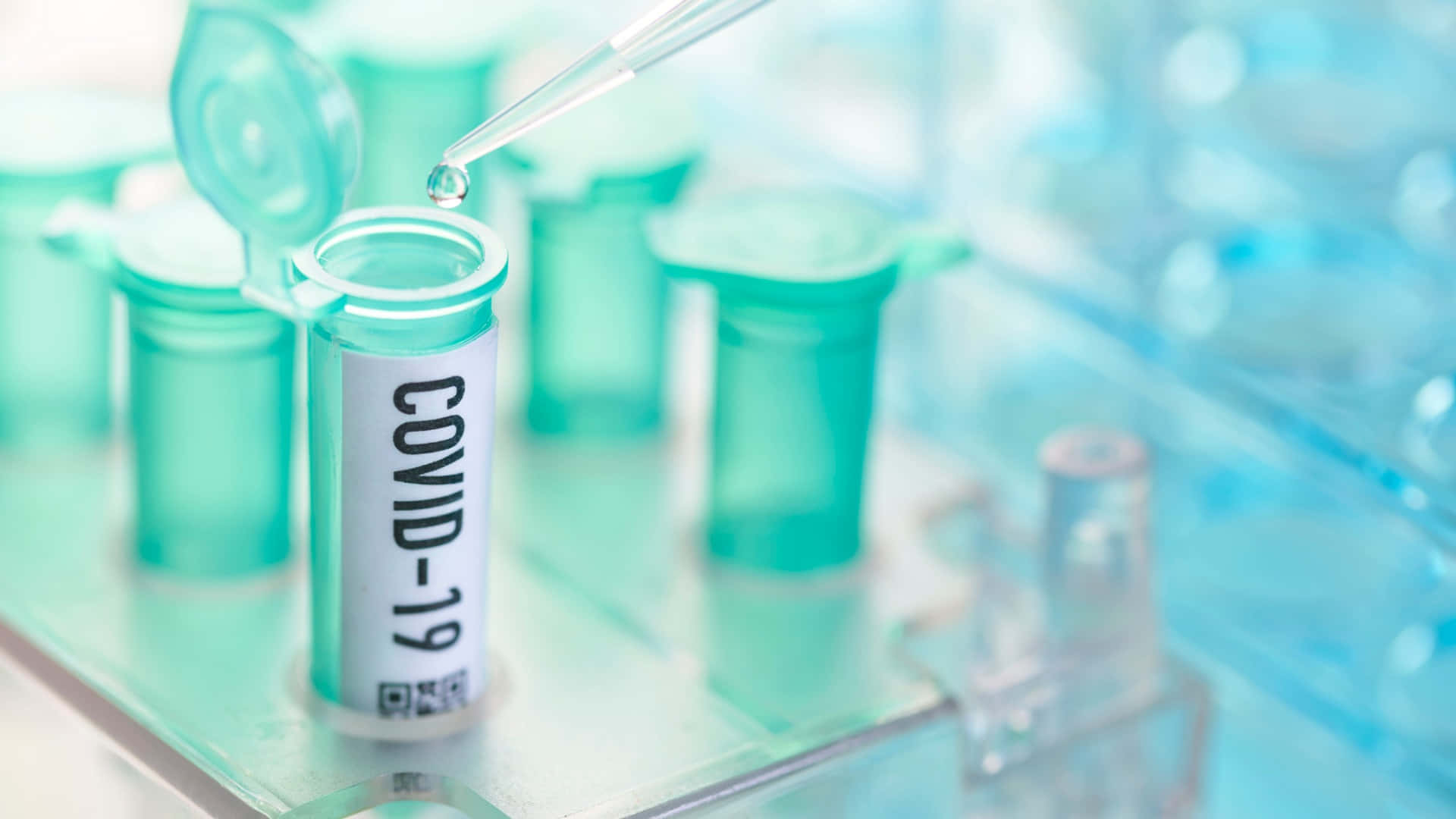 科學 桌布 壁紙 — 在實驗室環境中，一支滴管將液體滴入一個標有 COVID-19 標籤的試管，旁邊有其他青綠色的醫療容器。
