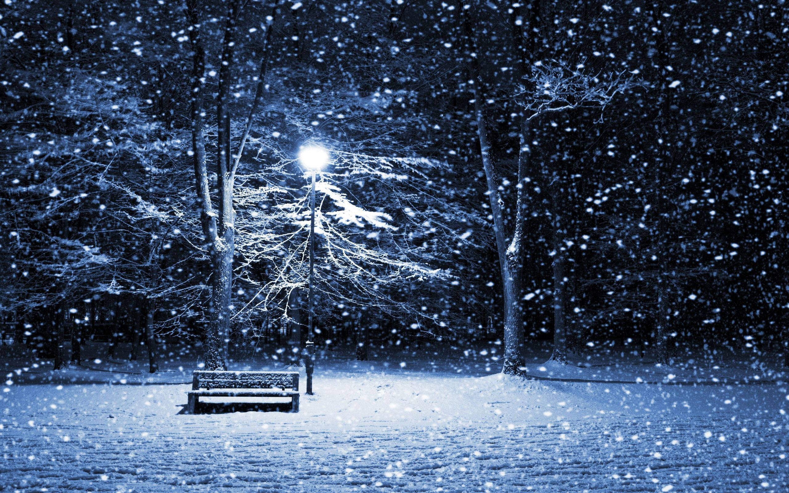 冬天 桌布 壁紙 — 在寧靜的冬夜公園裡，一張孤獨的積雪長椅在街燈下閃耀，大雪紛飛。