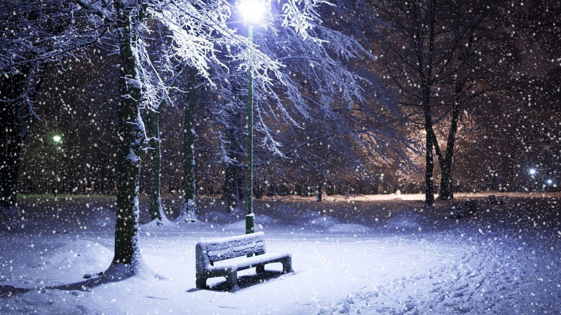 Snow Falling 桌布 壁紙 — 在寧靜的冬夜公園裡，一張孤獨的積雪長椅在街燈下閃耀，雪花輕輕飄落。
