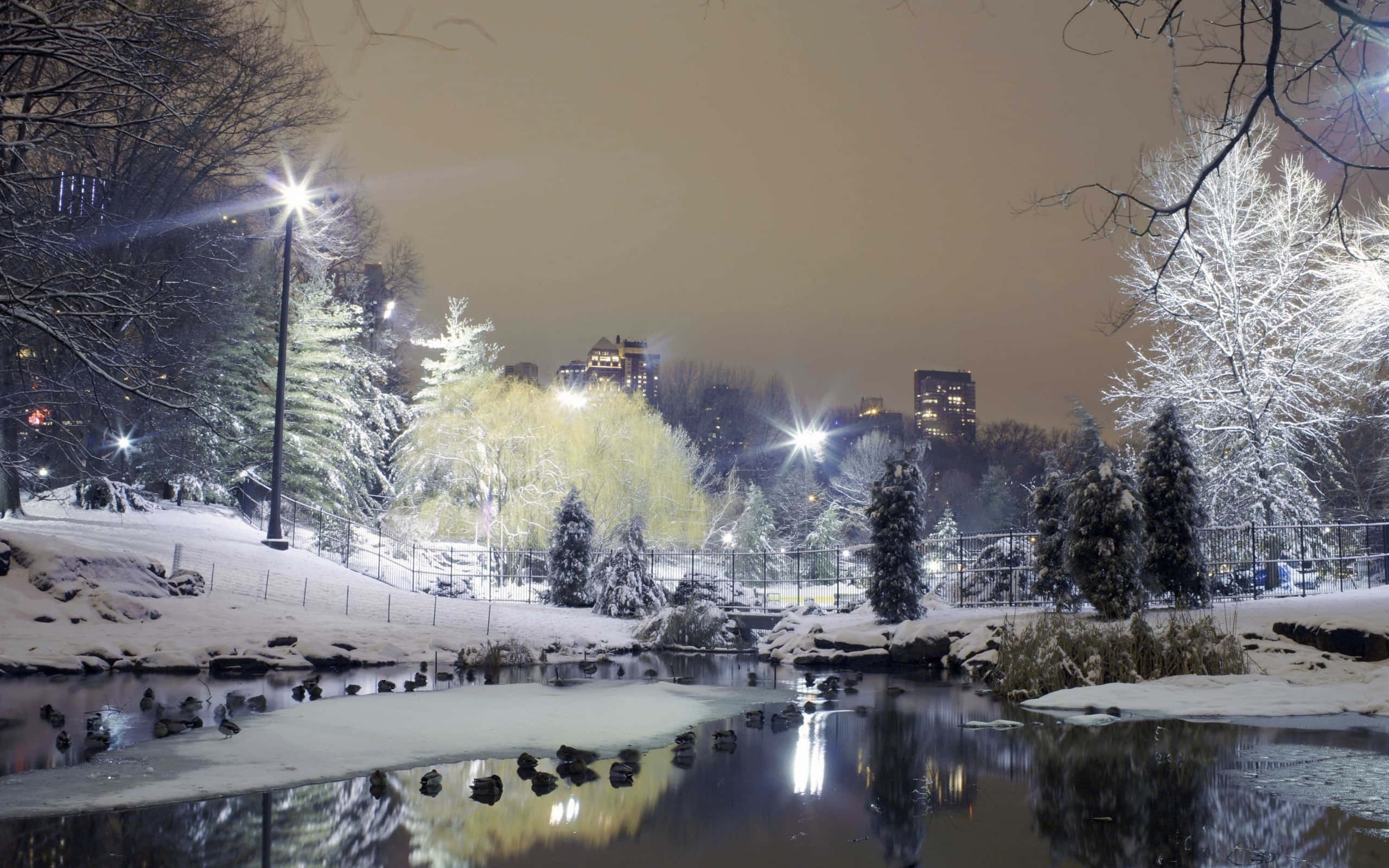 桌布 壁紙 — 在寧靜的冬夜城市公園中，白雪覆蓋樹木和結冰的池塘，街燈閃爍。