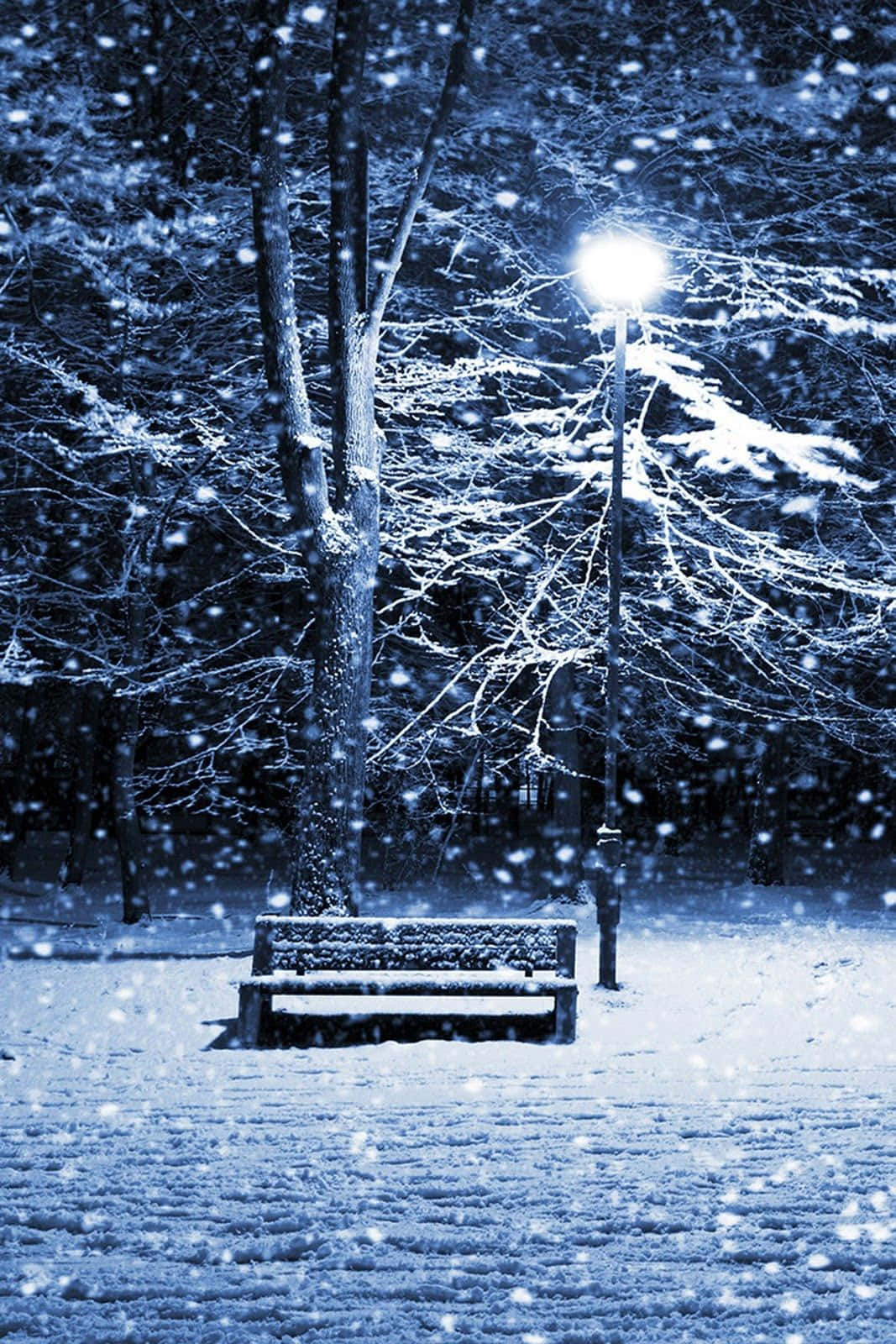 Snow Falling 桌布 壁紙 — 在寧靜的冬季公園中，一張孤獨的積雪長凳在街燈下閃耀，雪花在空中飄舞。