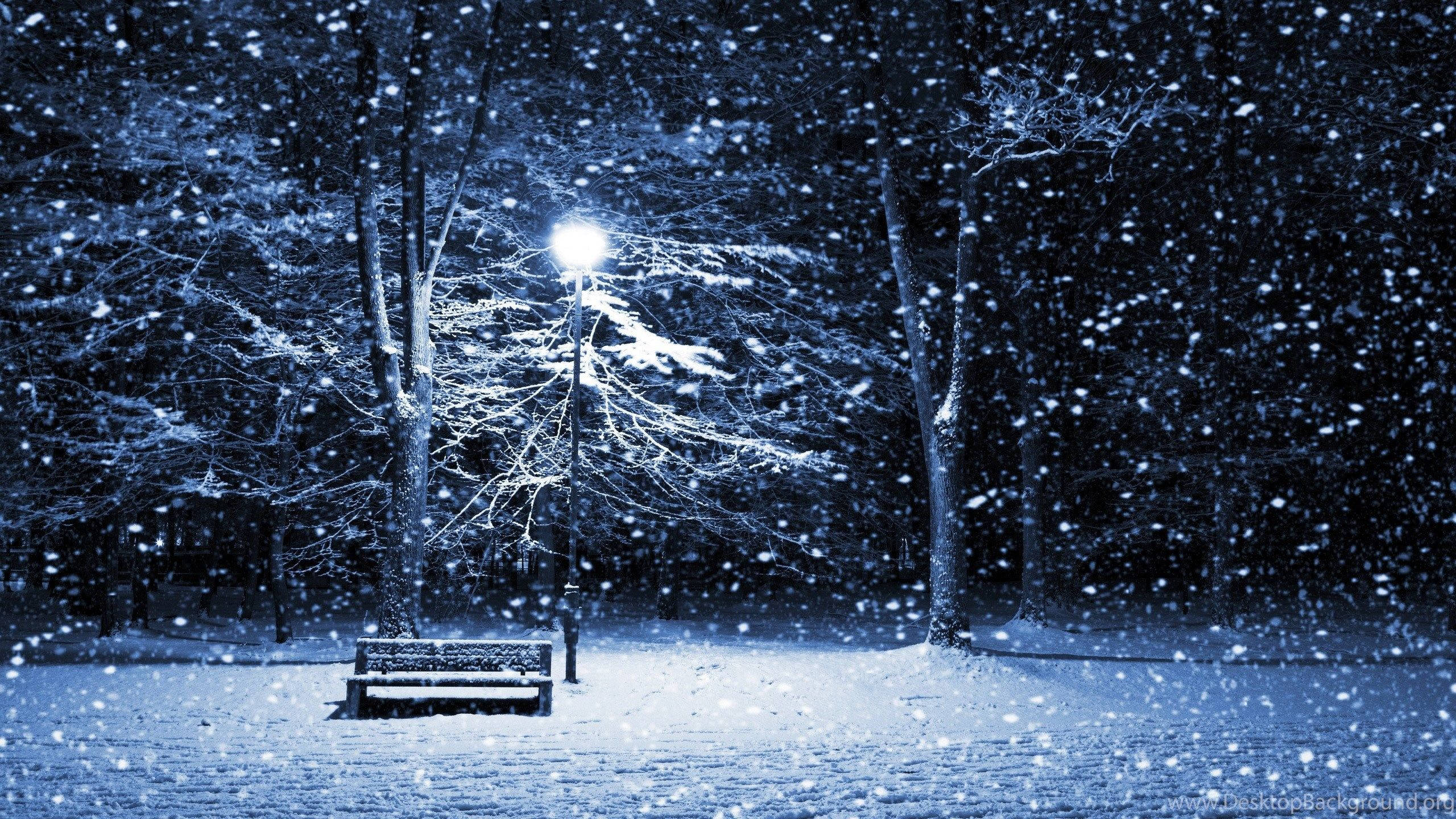 Windows 冬季 桌布 壁紙 — 在寧靜的冬季公園裡，一張孤獨的雪覆蓋長椅在街燈下發光，大雪紛飛。