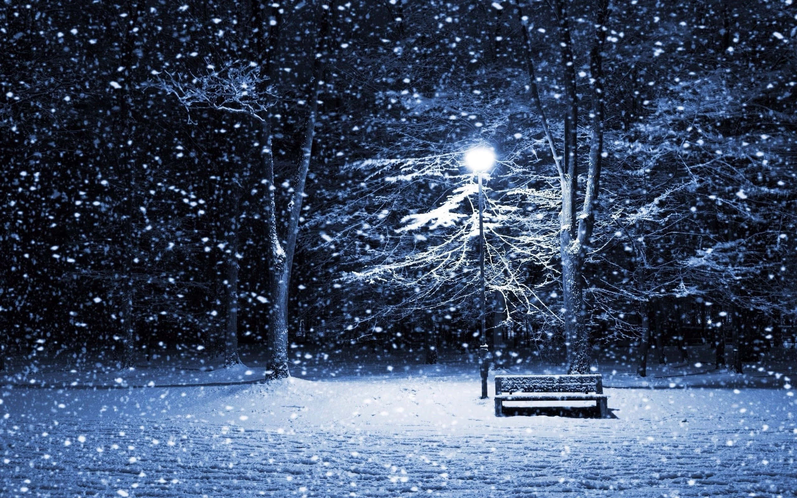 冬天 桌布 壁紙 — 在寧靜的冬日公園中，一張孤獨的積雪長椅在路燈下閃耀，大雪在光禿禿的樹木周圍紛飛。