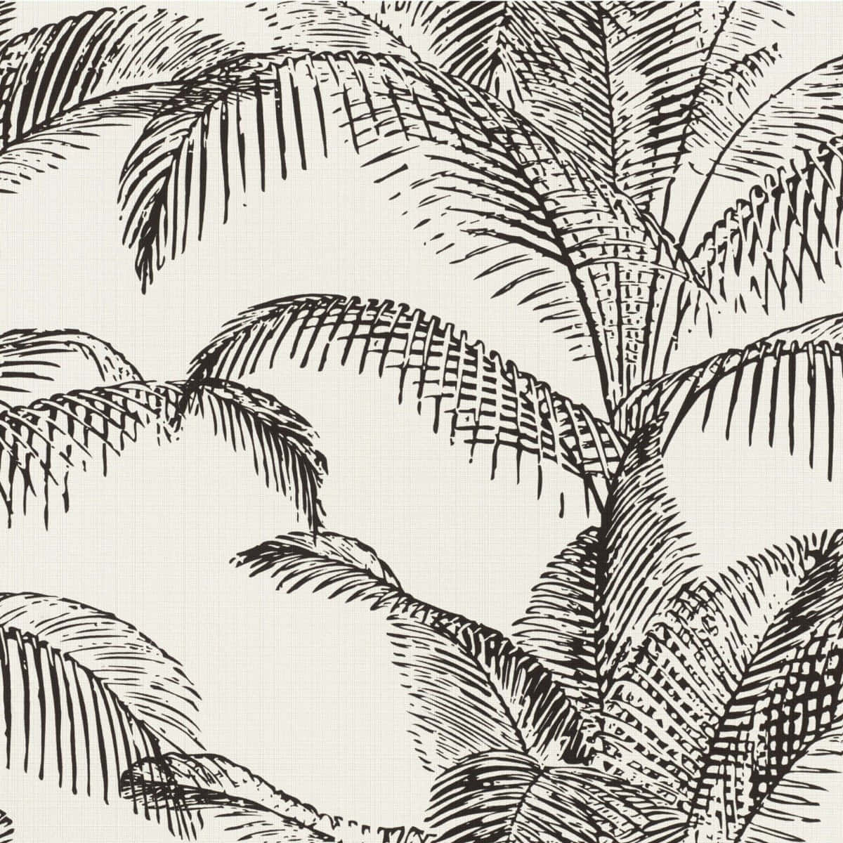 Palm Tree 桌布 壁紙 — 在帶有紋理的米白色背景上，以黑色墨水繪製重疊的棕櫚葉草圖，並帶有詳細的交叉陰影線。
