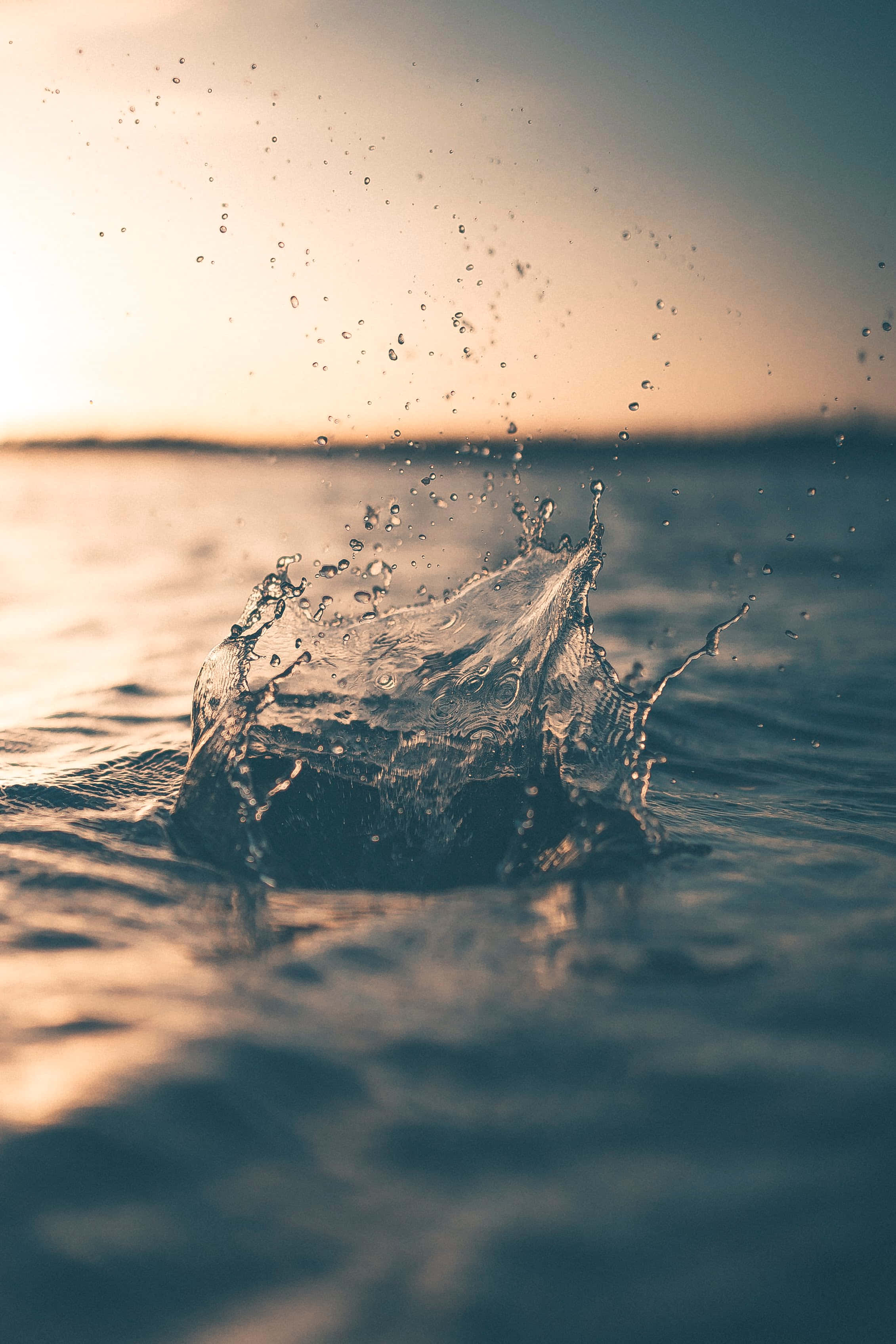 Water Splash 桌布 壁紙 — 在平靜的海浪上，一道水晶般的水花在溫暖的夕陽天空下噴湧而出。