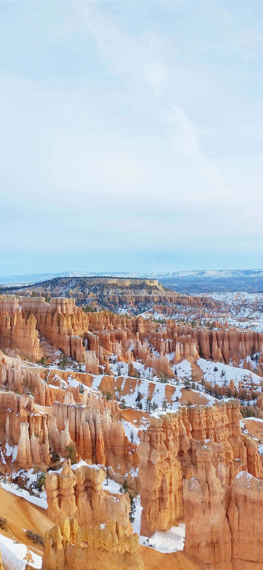  壁紙 — 在廣闊的冬季峽谷景觀中，白雪覆蓋著橙色的 Hoodoos，天空呈現淡藍色。