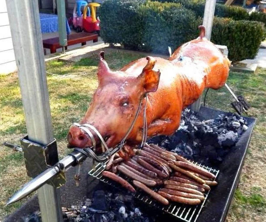Pig 桌布 壁紙 — 在後院，一隻烤全豬在熾熱的炭火上旋轉，旁邊是烤香腸的烤架。
