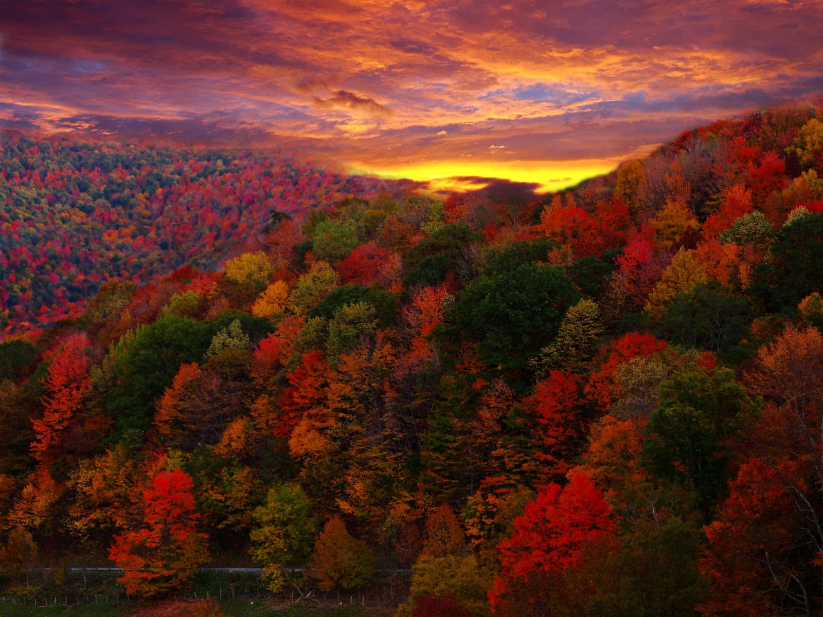 Fall Photography 桌布 壁紙 — 在戲劇性的多雲天空下，夕陽映照著一個令人嘆為觀止的秋日山谷，滿是火紅、橙黃和金黃的樹葉。